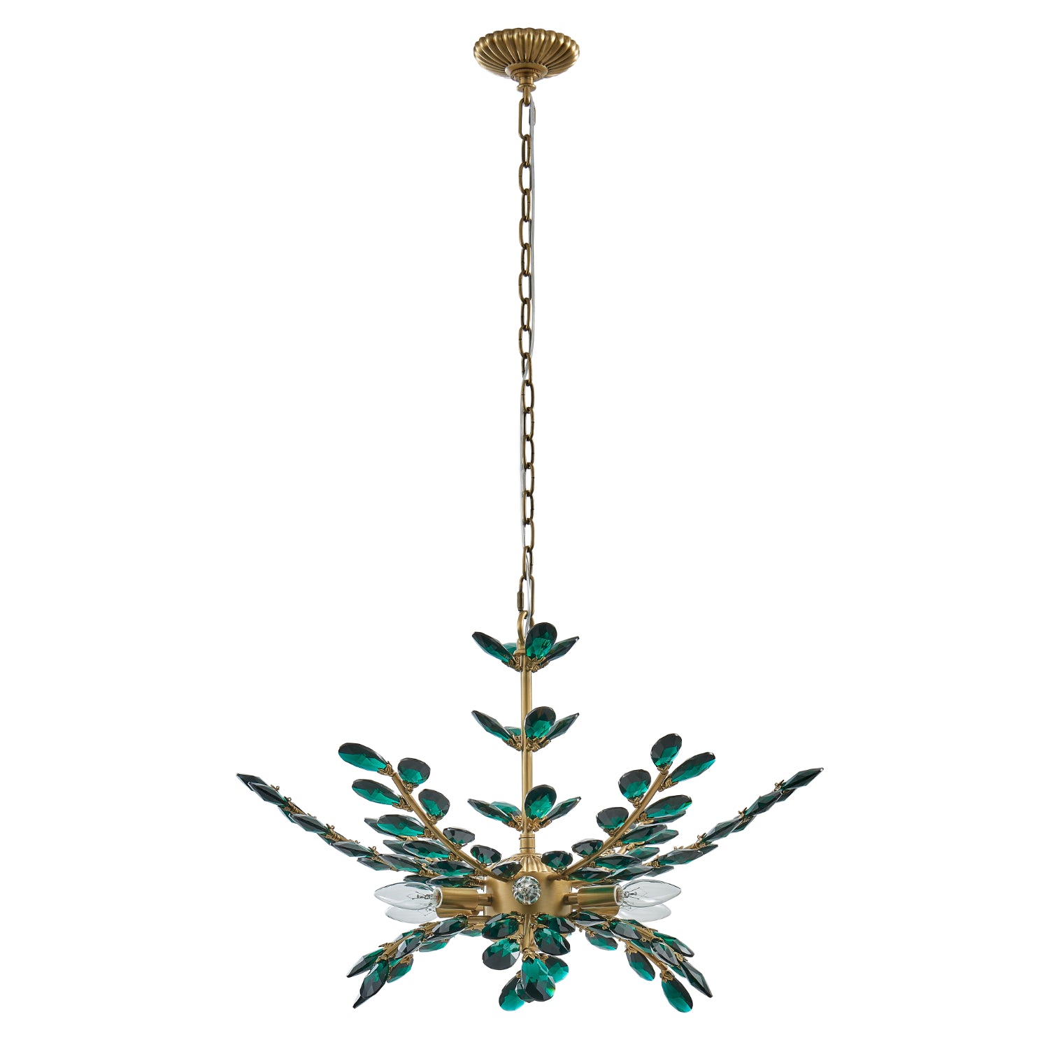 18'' Alloro 6 Light True Brass Chandelier