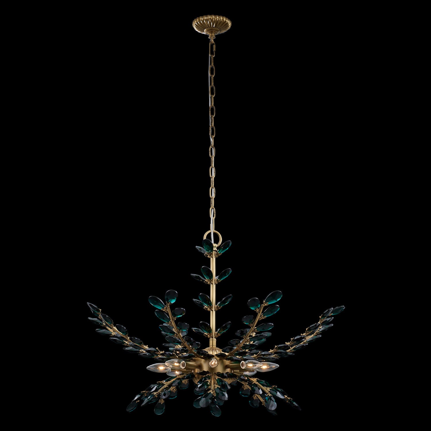 22.5'' Alloro 8 Light True Brass Chandelier