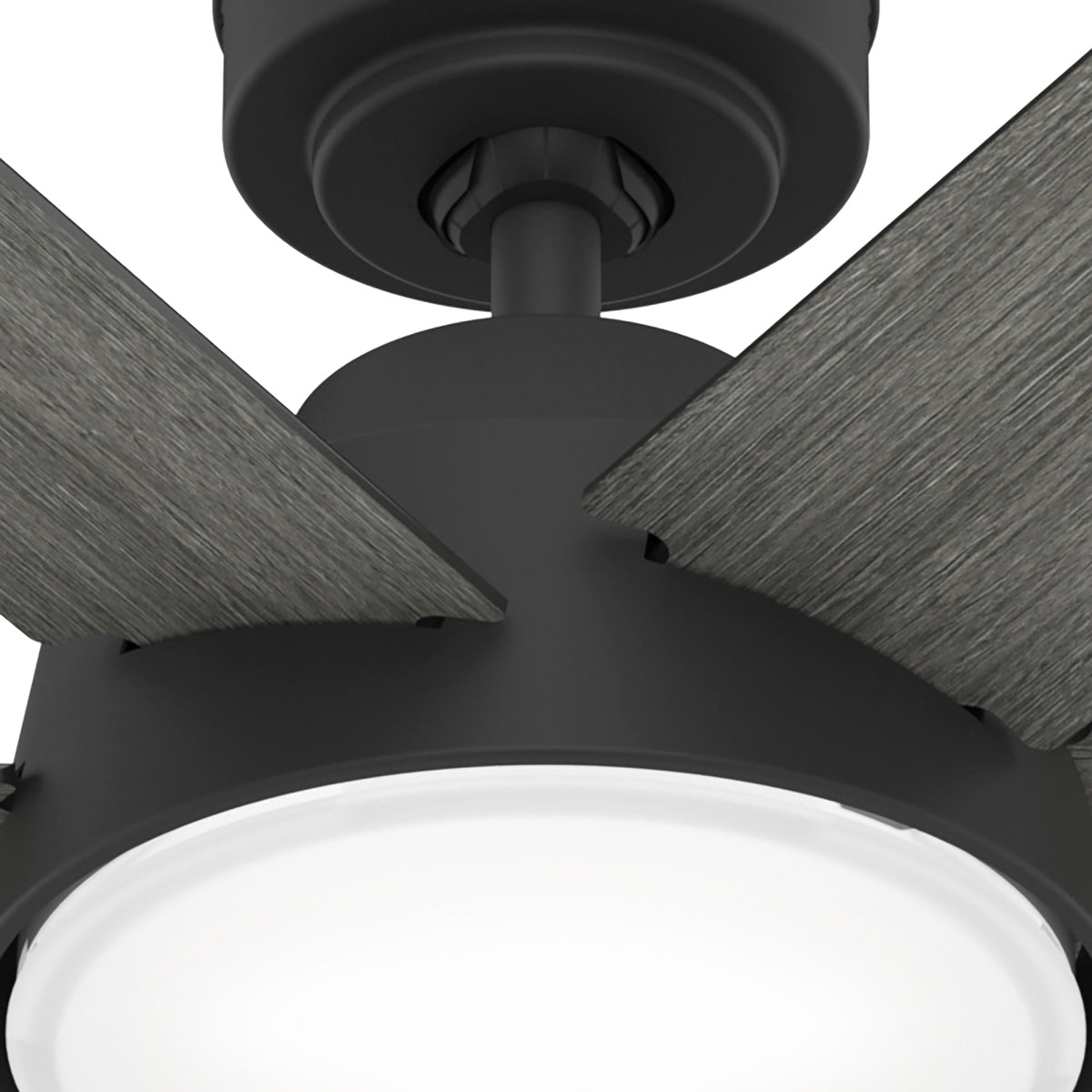 52 inch Donatella Matte Black Ceiling Fan with LED Light Kit and Handheld Remote