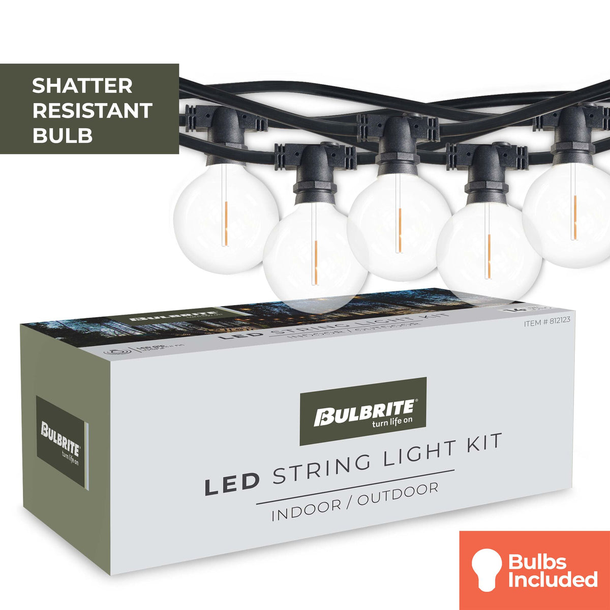 14-foot Black G16 LED String Light Kit with 10 Bulbs, 2700K