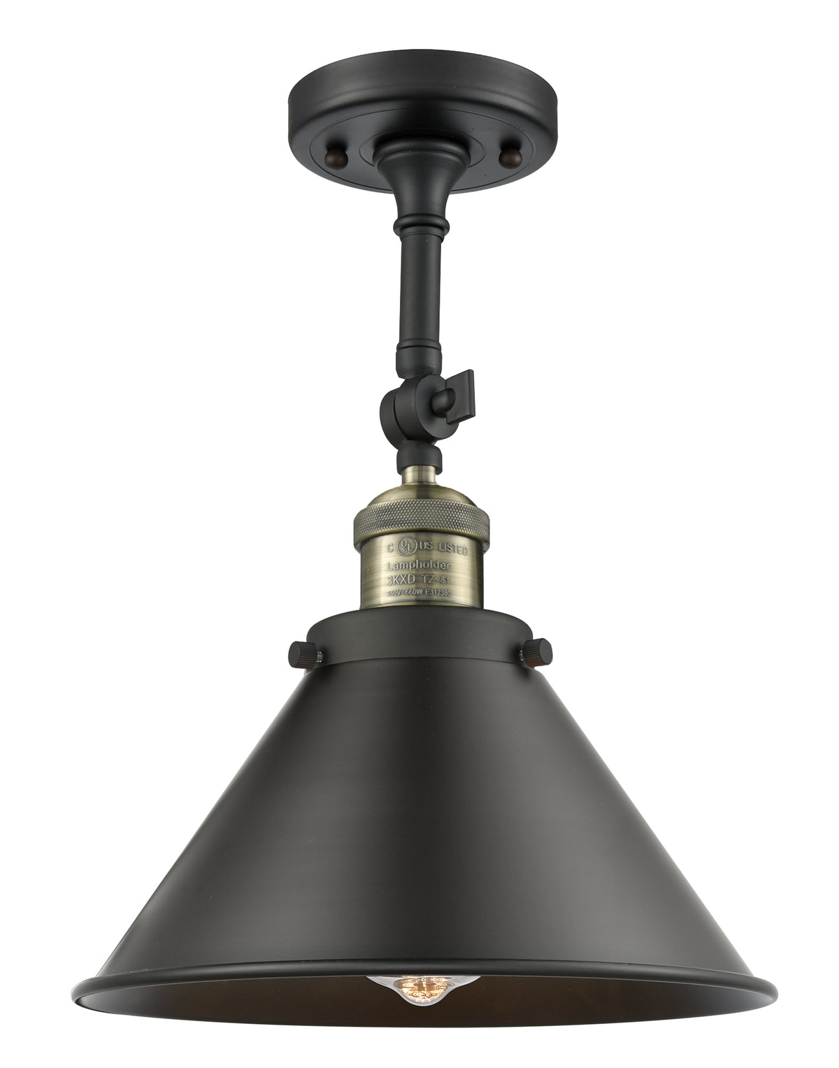 Briarcliff 10-Inch 1-Light Semi-Flush Mount with LED Bulb 14.25-Inch High