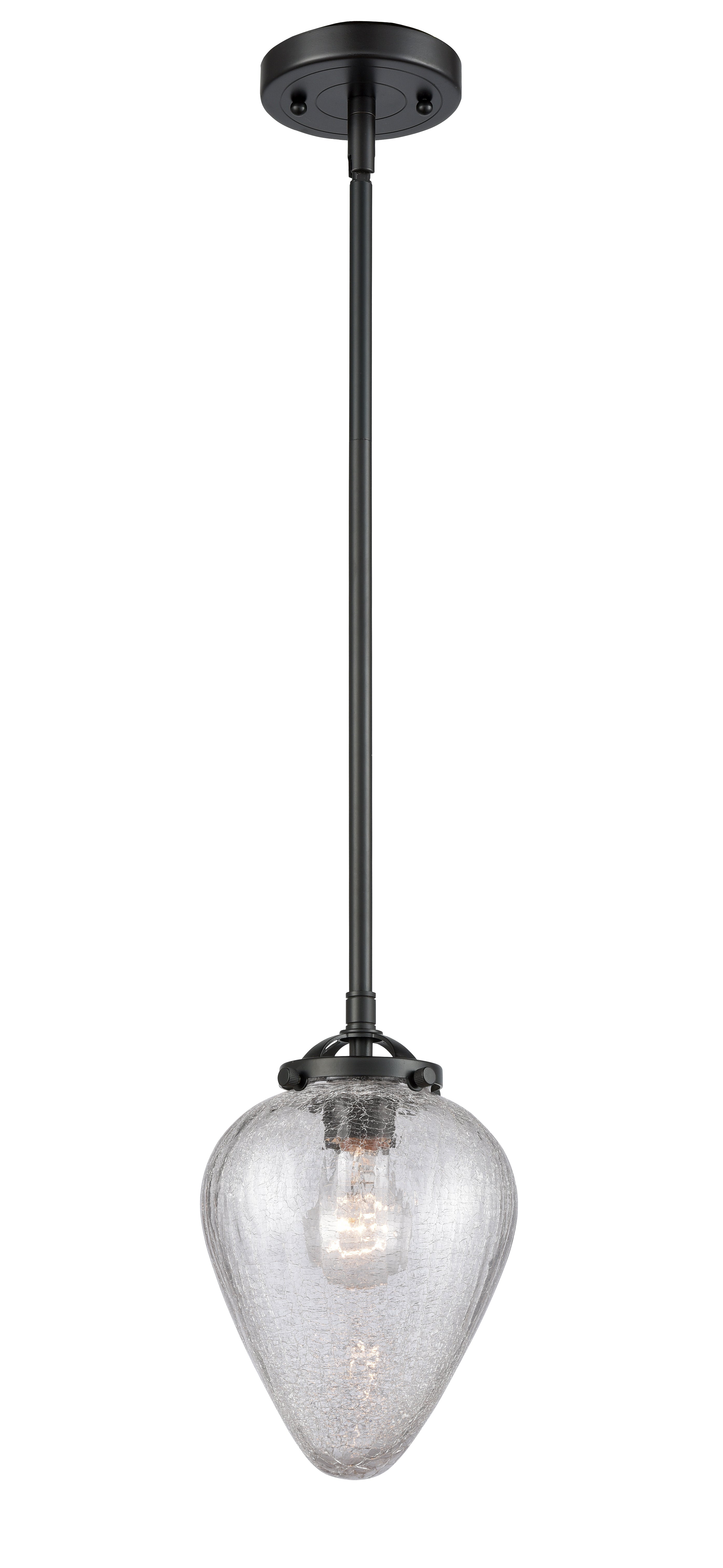 Nouveau Mini Pendant Black Antique Brass
