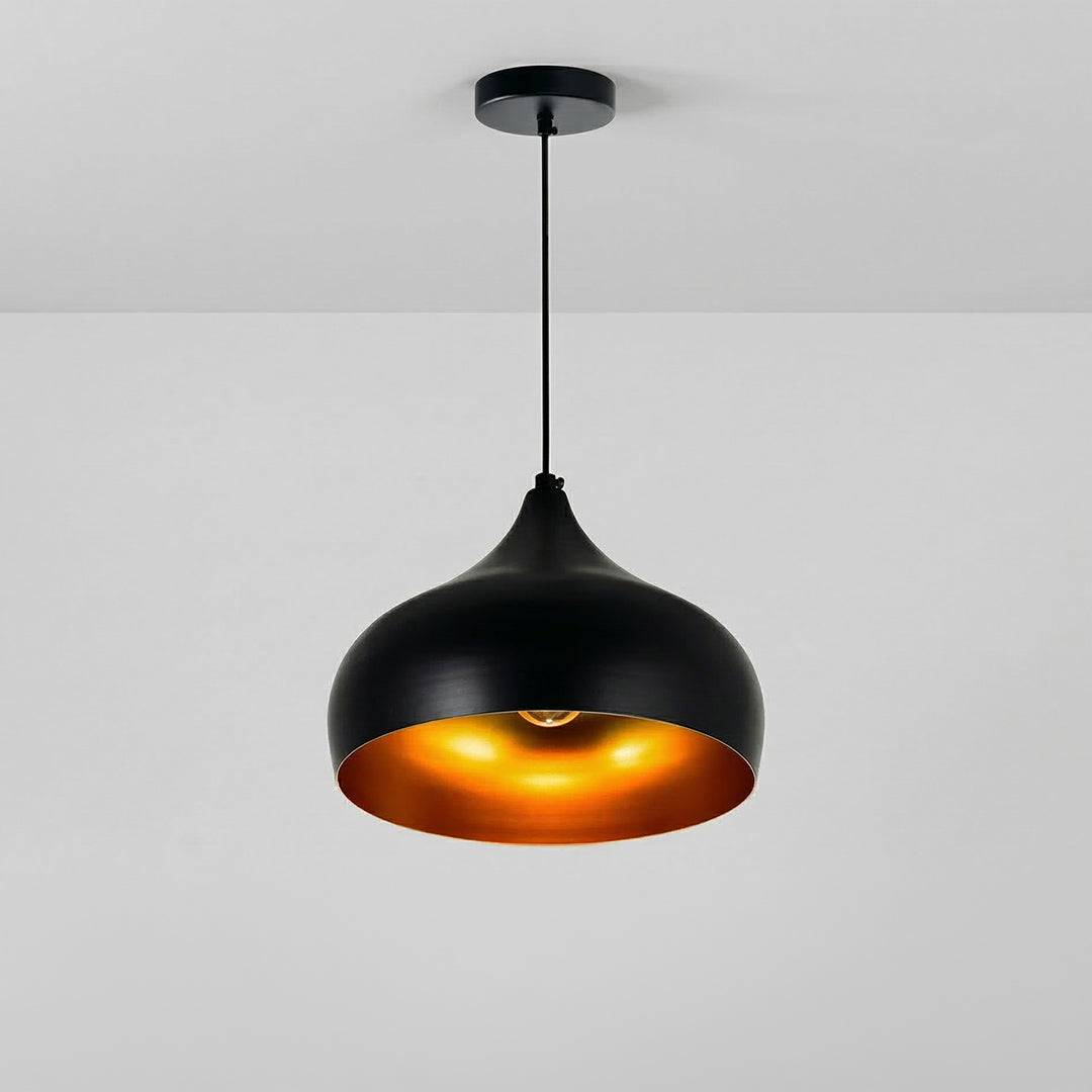 Dynamic 1 Light 13in Black Pendant Light