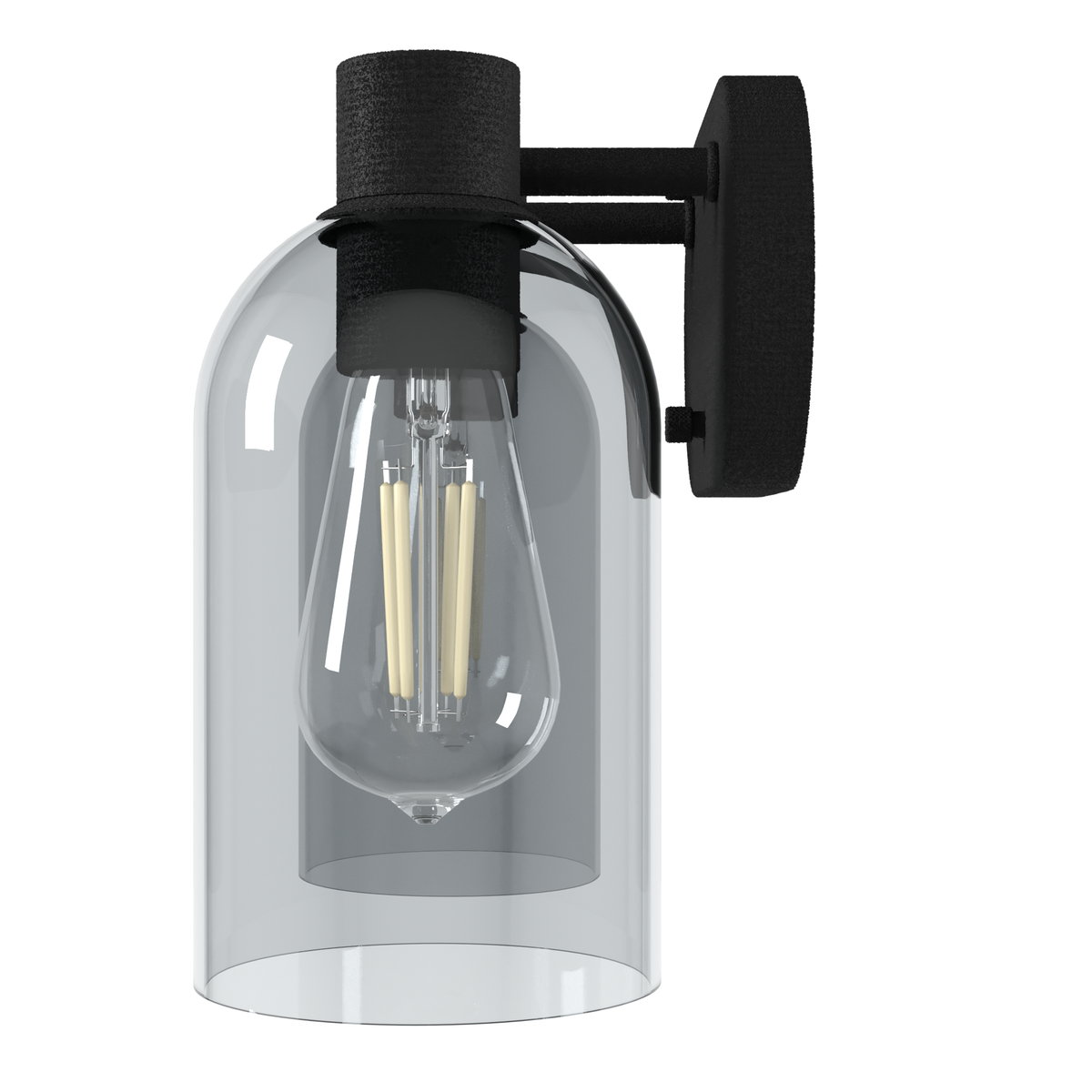 Lochemeade 12.5-inch 2-light Natural Black Iron Vanity Light with Smoked Glass