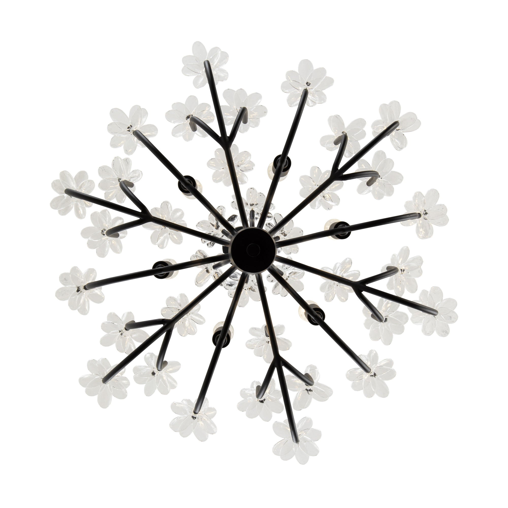 Wildflower 6 Light Chandelier