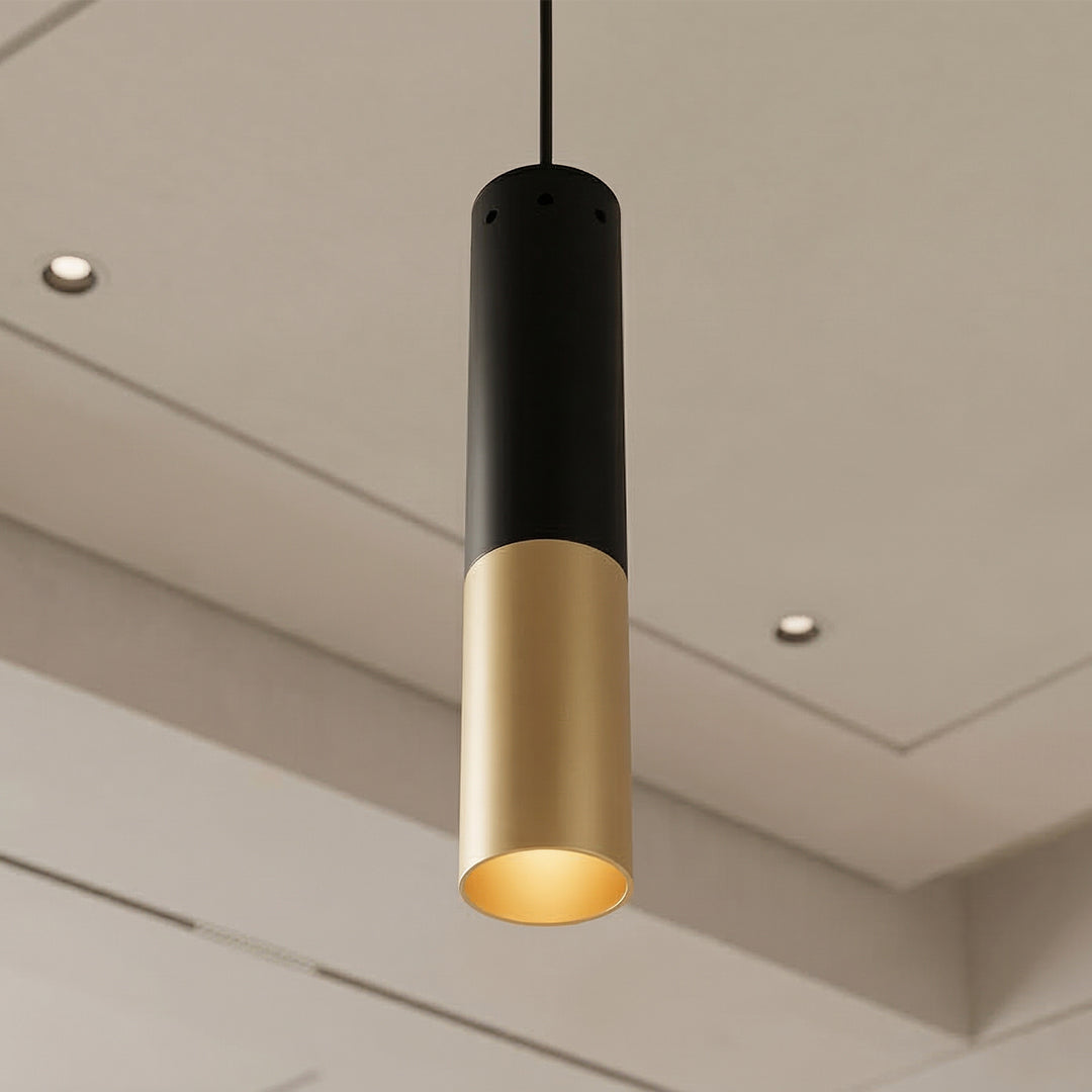 Anem 1 Light Satin Gold Mini Pendant with Matte Black Finish
