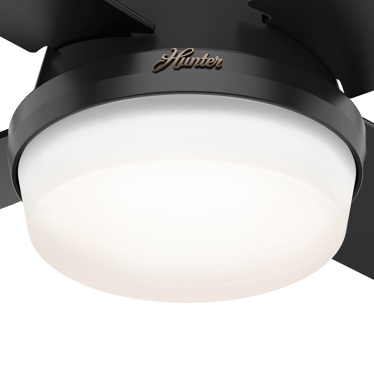 44 inch Dempsey Matte Black Low Profile Damp Rated Ceiling Fan with LED Light Kit and Handheld Remote