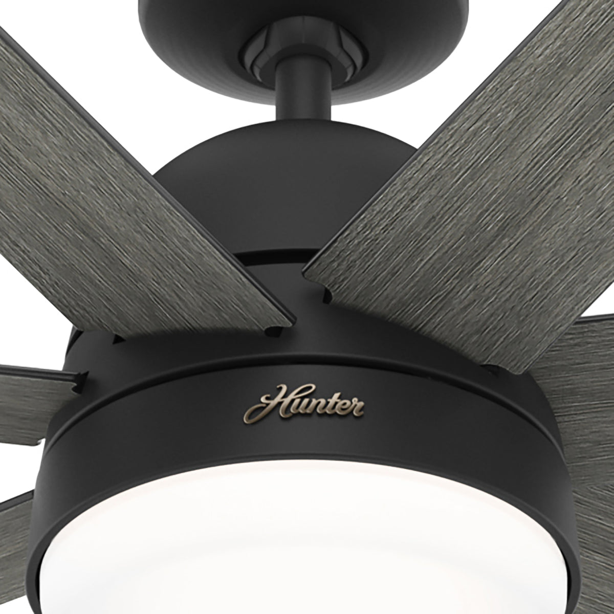 60 inch Phenomenon Wi-Fi ENERGY STAR® Matte Black Ceiling Fan with LED Light Kit and Wall Control