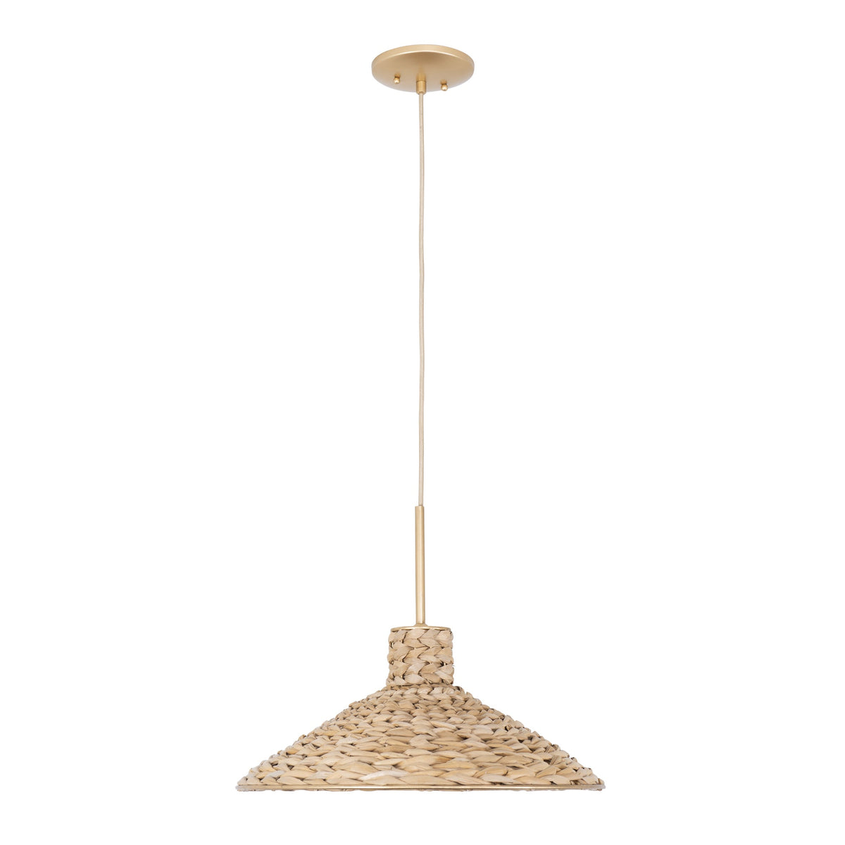 Hilton Head 1 Light Medium Pendant