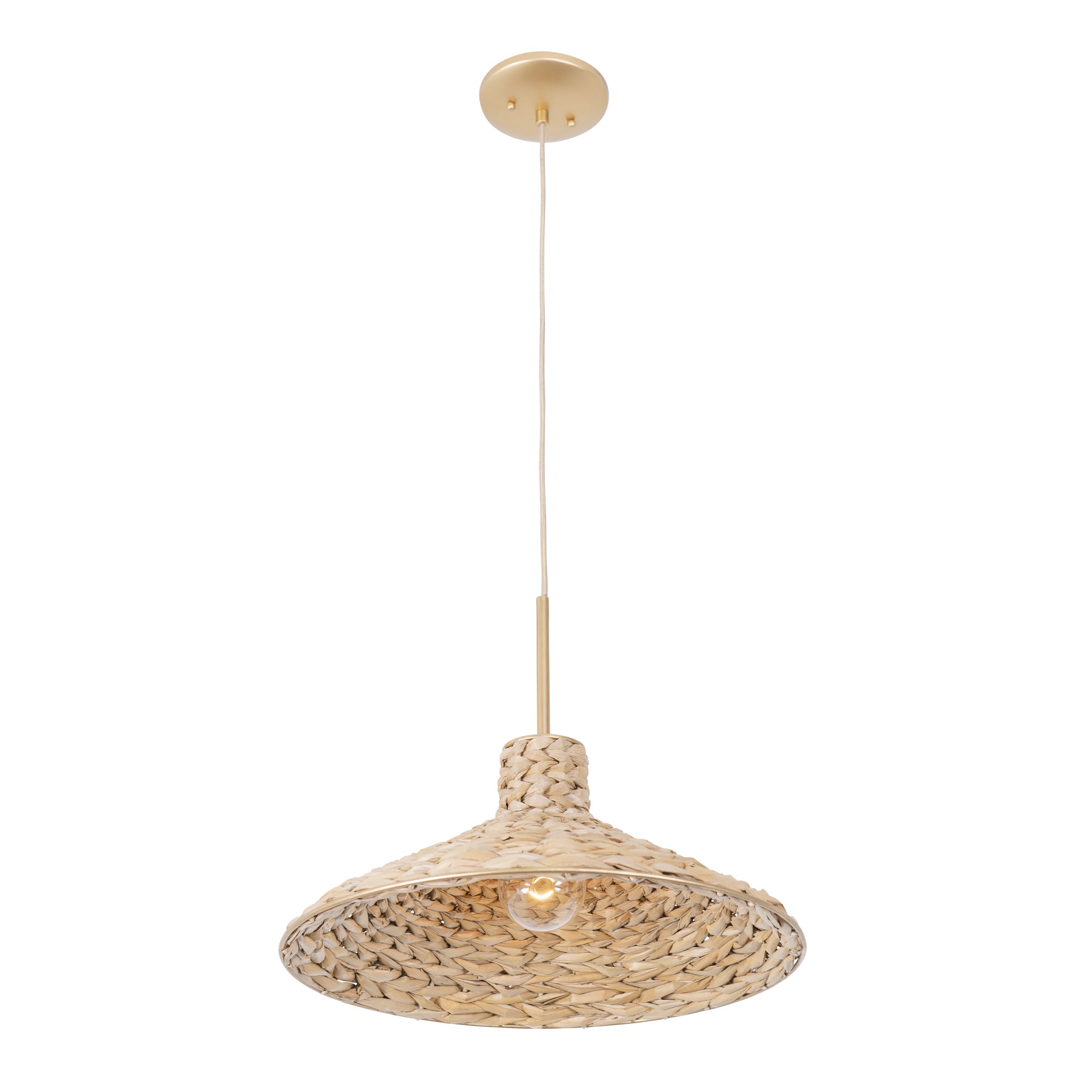 Hilton Head 1 Light Medium Pendant