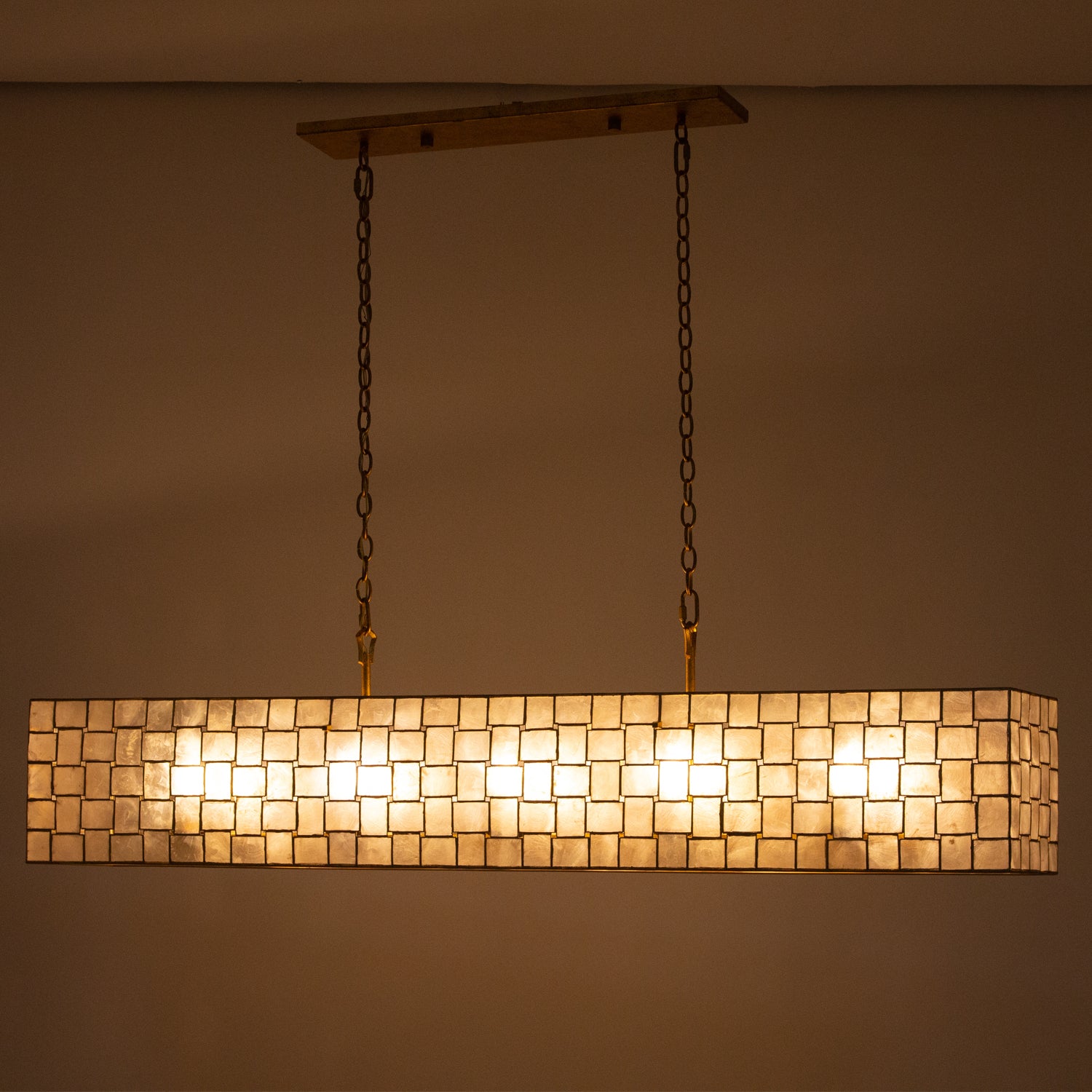 14.25'' Roxy 10 Light Oxidized Gold Leaf Linear Pendant