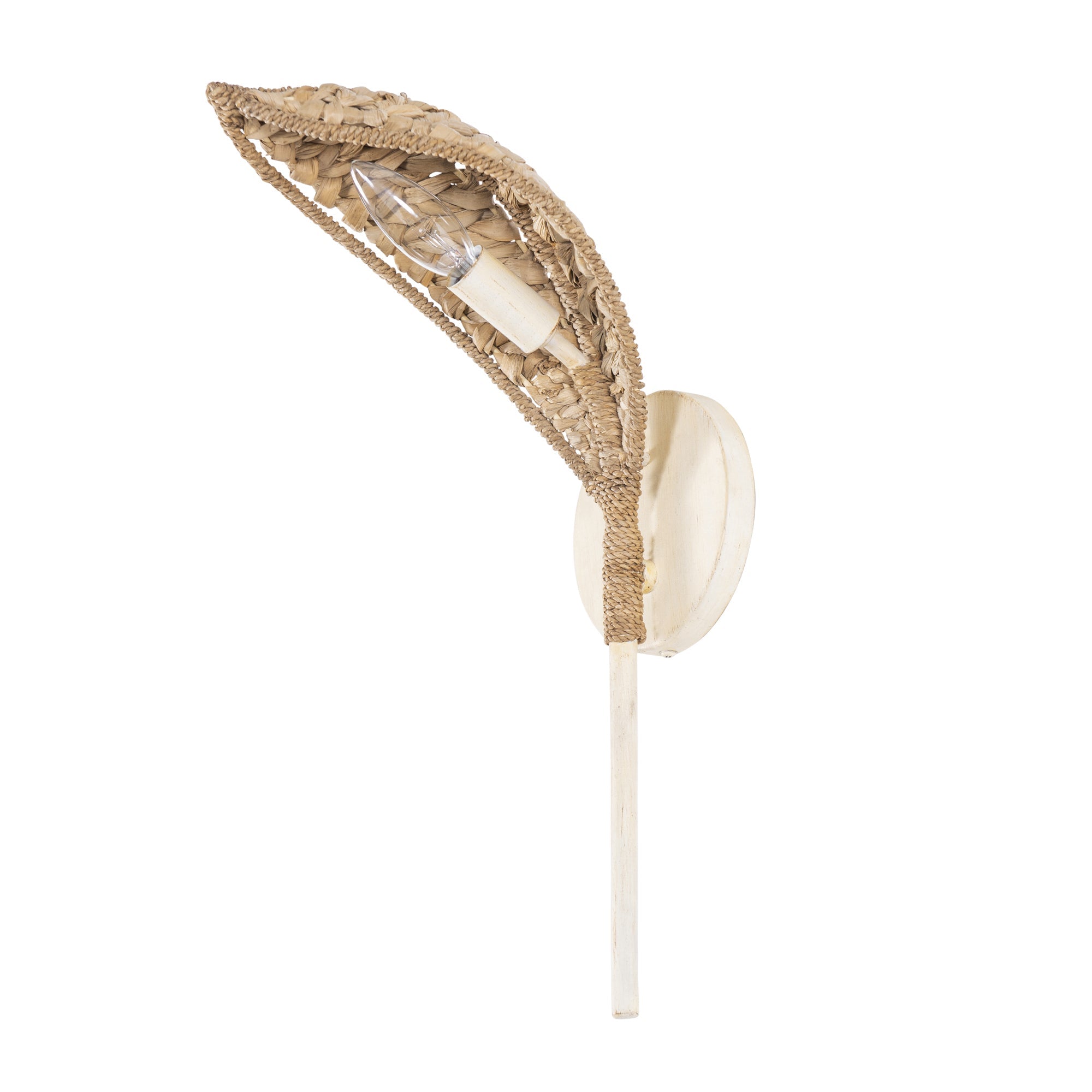 Century Palm 1 Light Wall Sconce