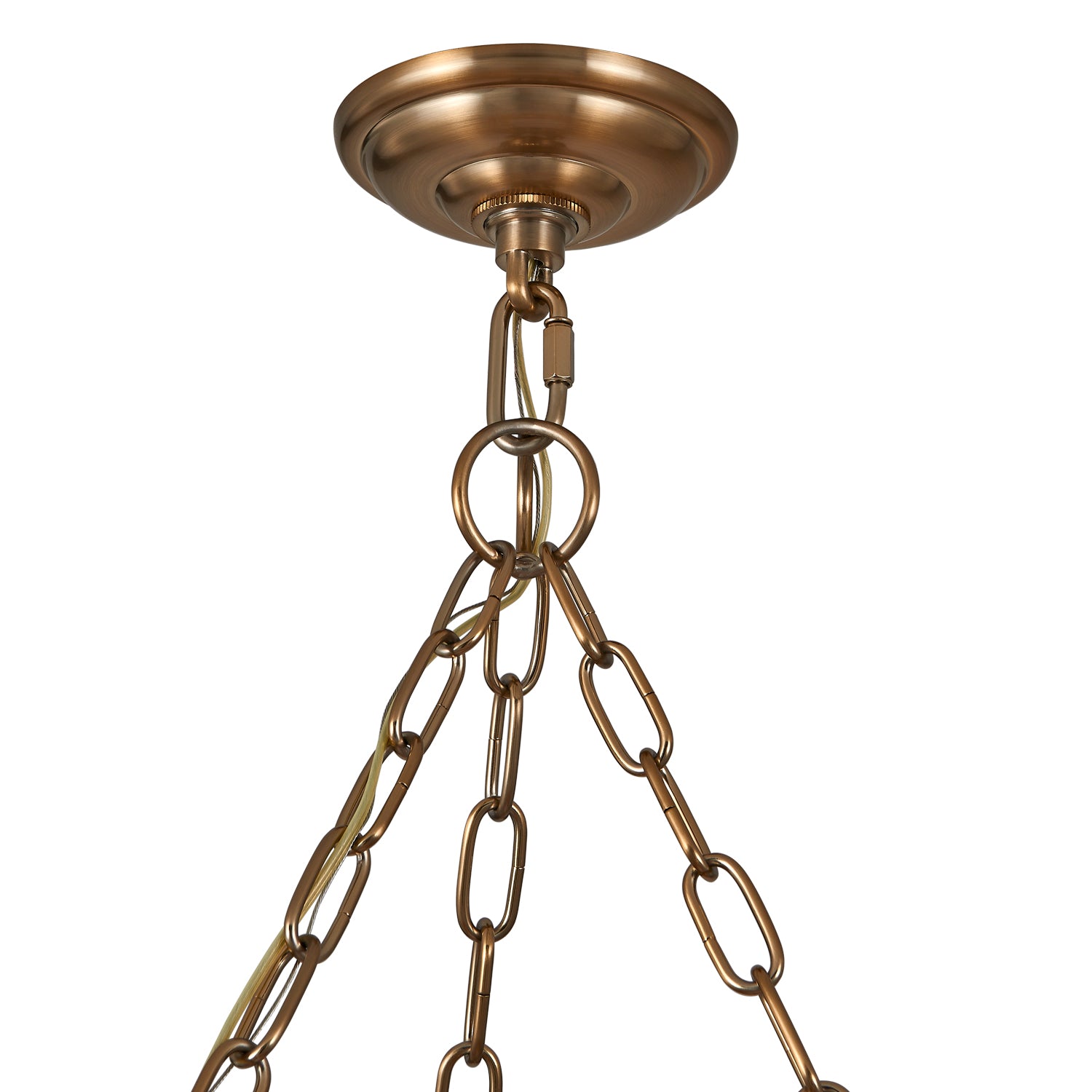 14'' Camellia 6 Light Winter Brass Chandelier