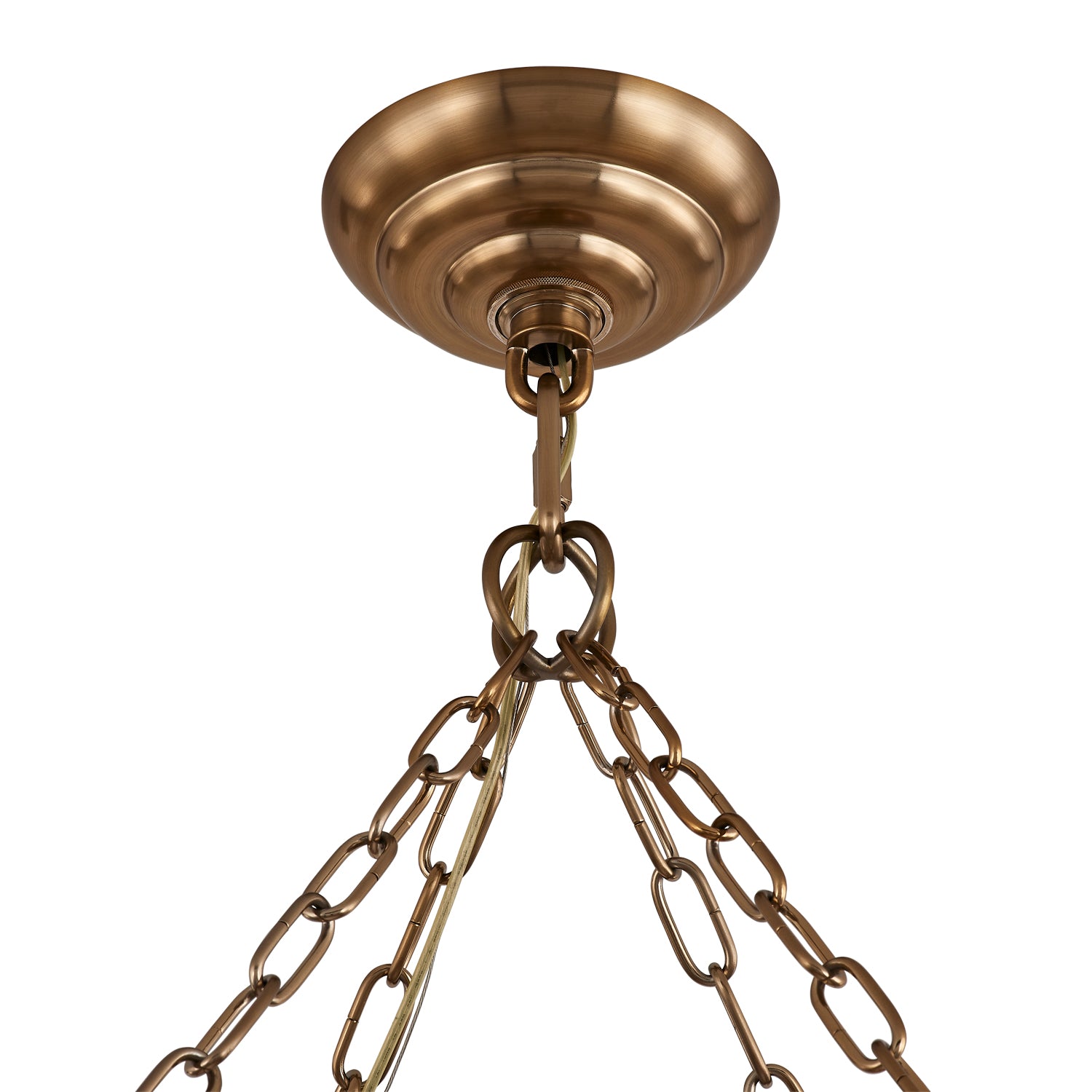14'' Camellia 10 Light Winter Brass Chandelier