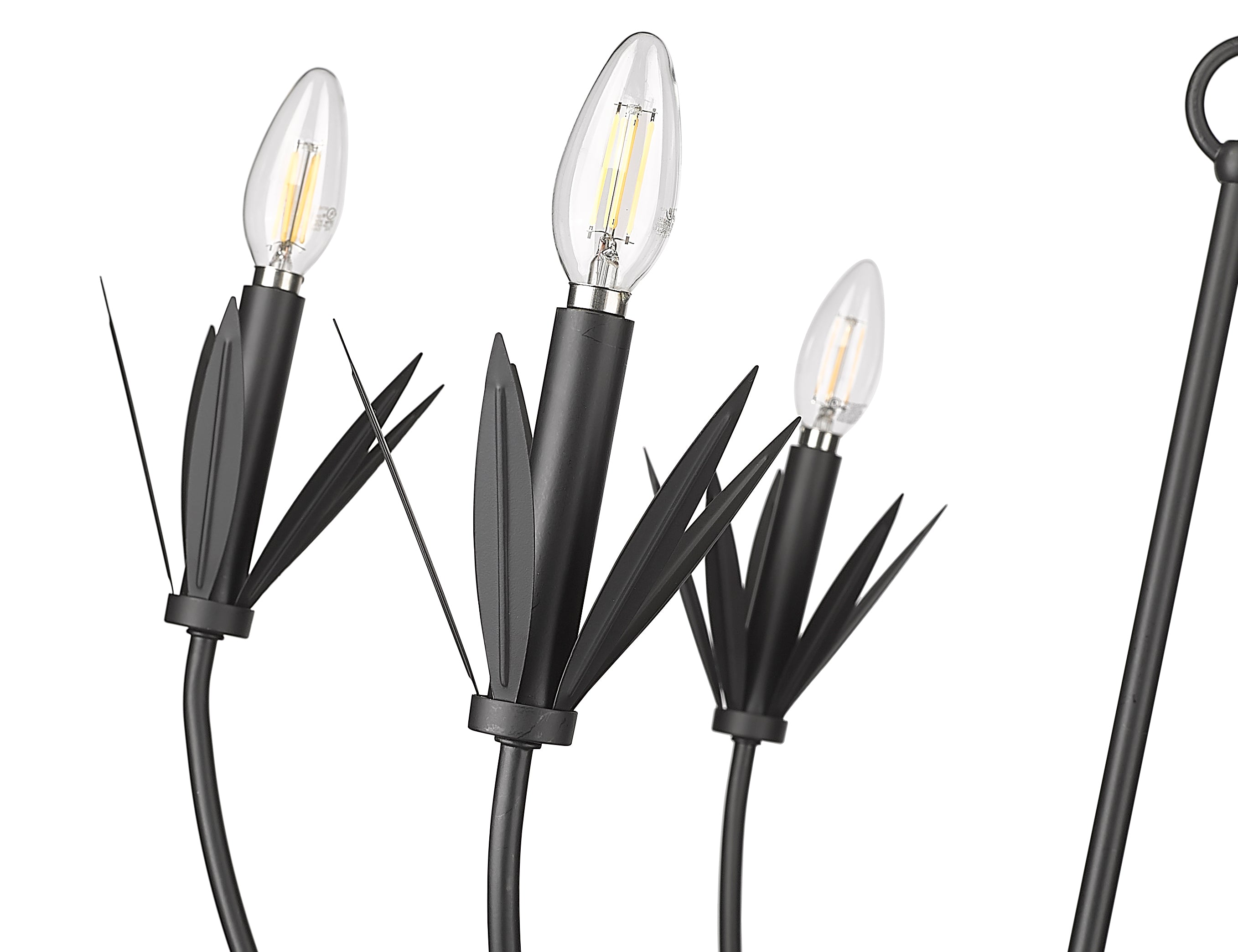 22.75'' Primrose Matte Black 6 Light Chandelier