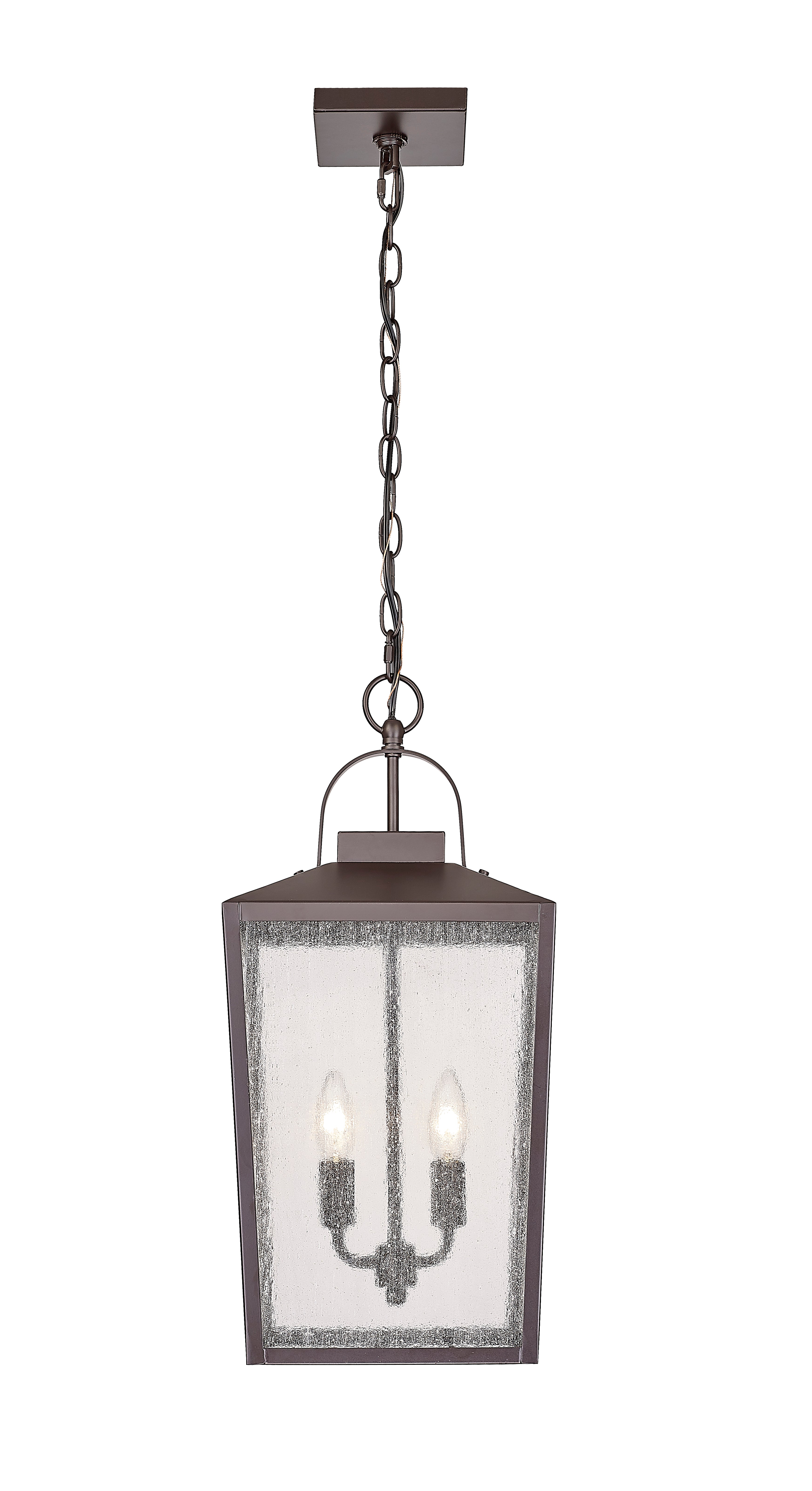 22-inch Devens Powder Coated Bronze 2-Light Outdoor Hanging Lantern with Clear Seeded Glass