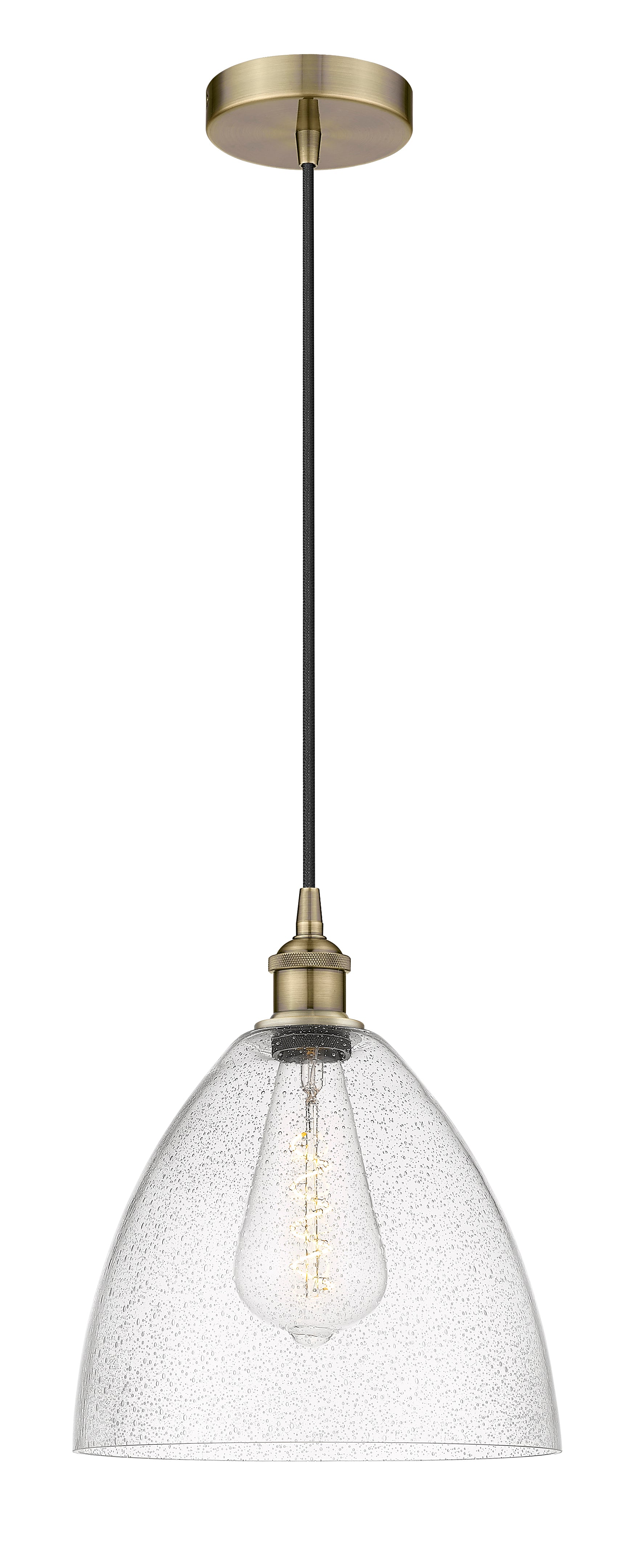 Edison Mini Pendant Cast Brass 12 Inch