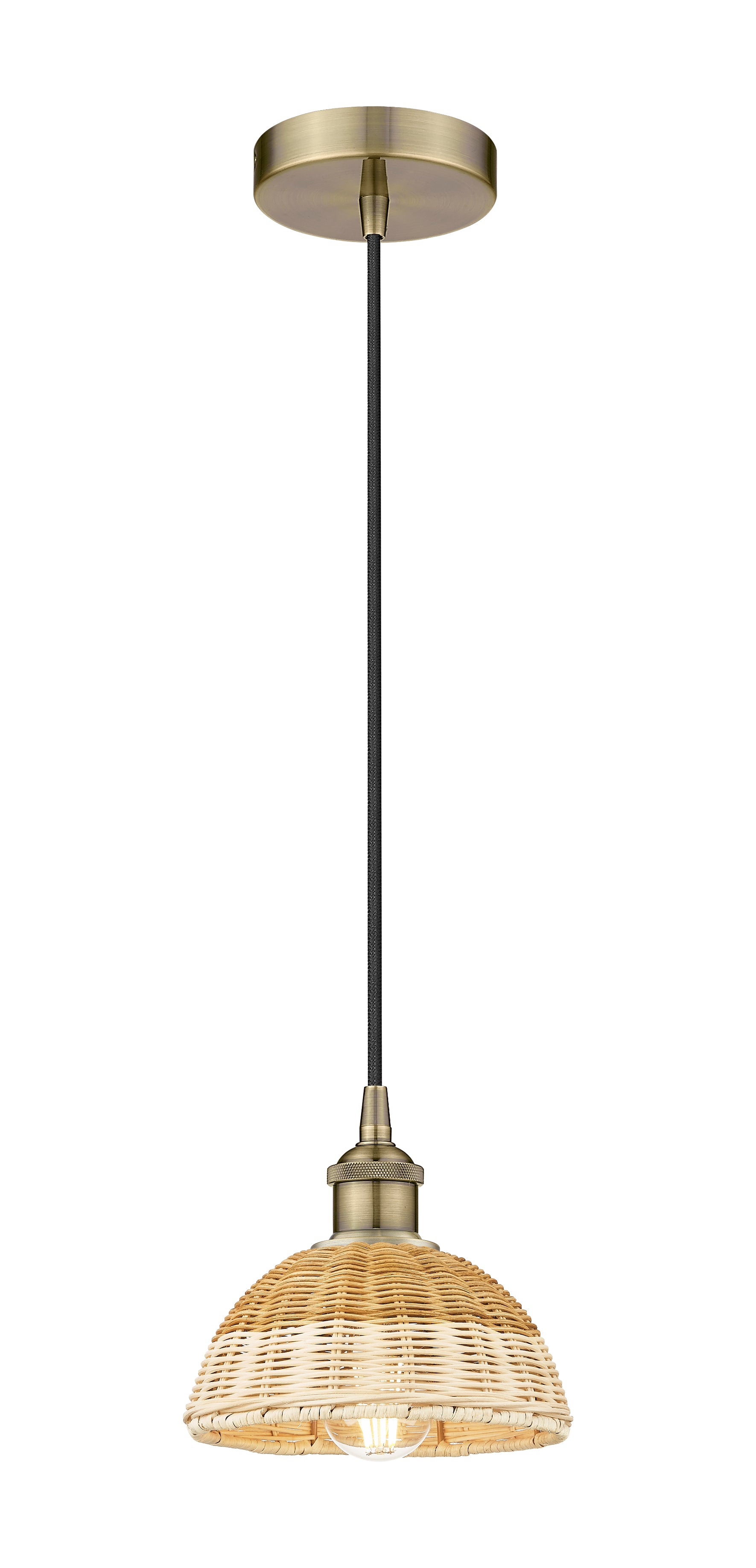 Edison Mini Pendant Antique Brass Finish