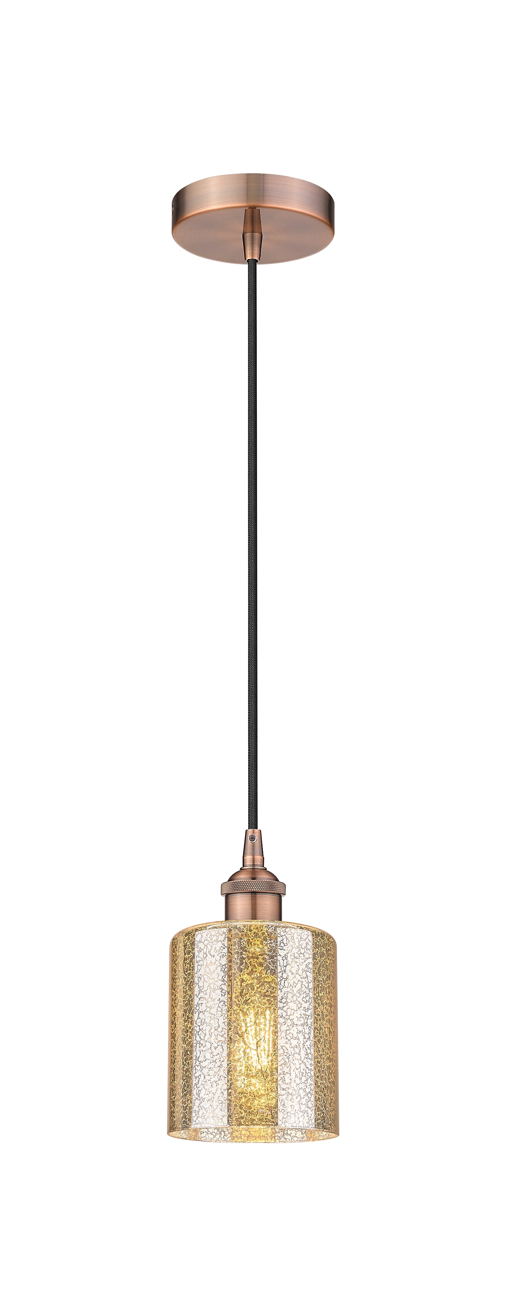 Edison Mini Pendant Antique Brass Finish