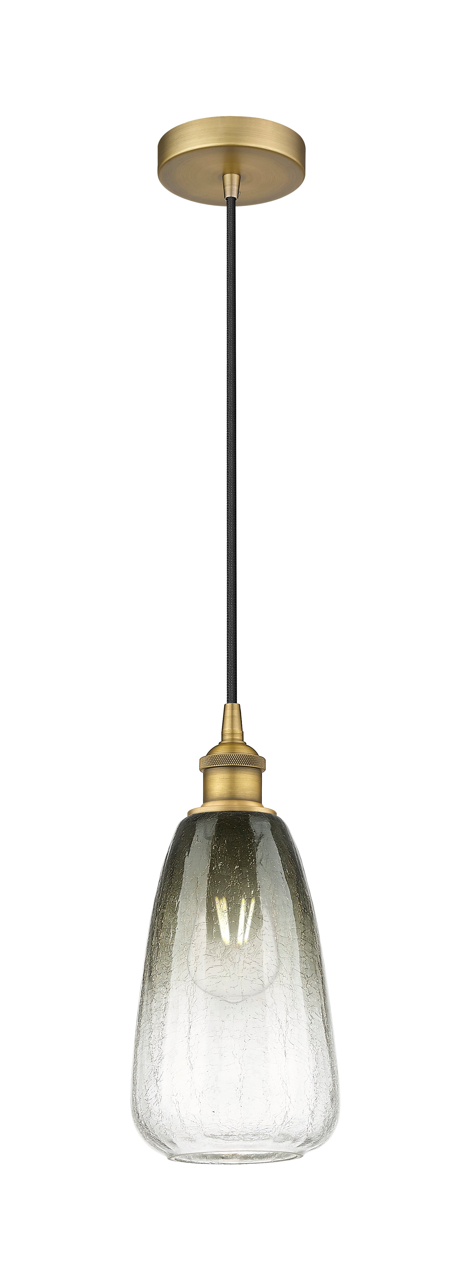 Edison Mini Pendant Antique Brass Finish