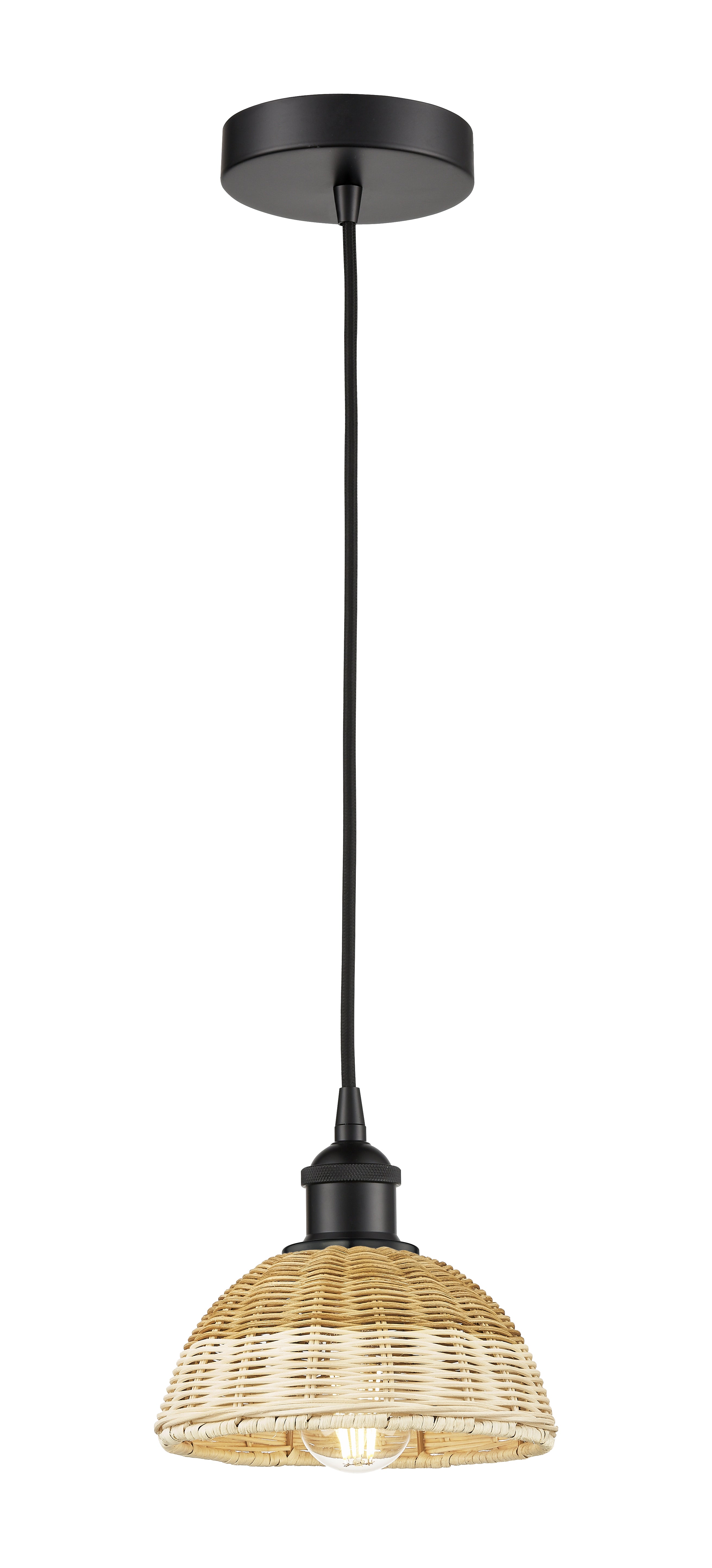 Edison Mini Pendant Antique Brass Finish