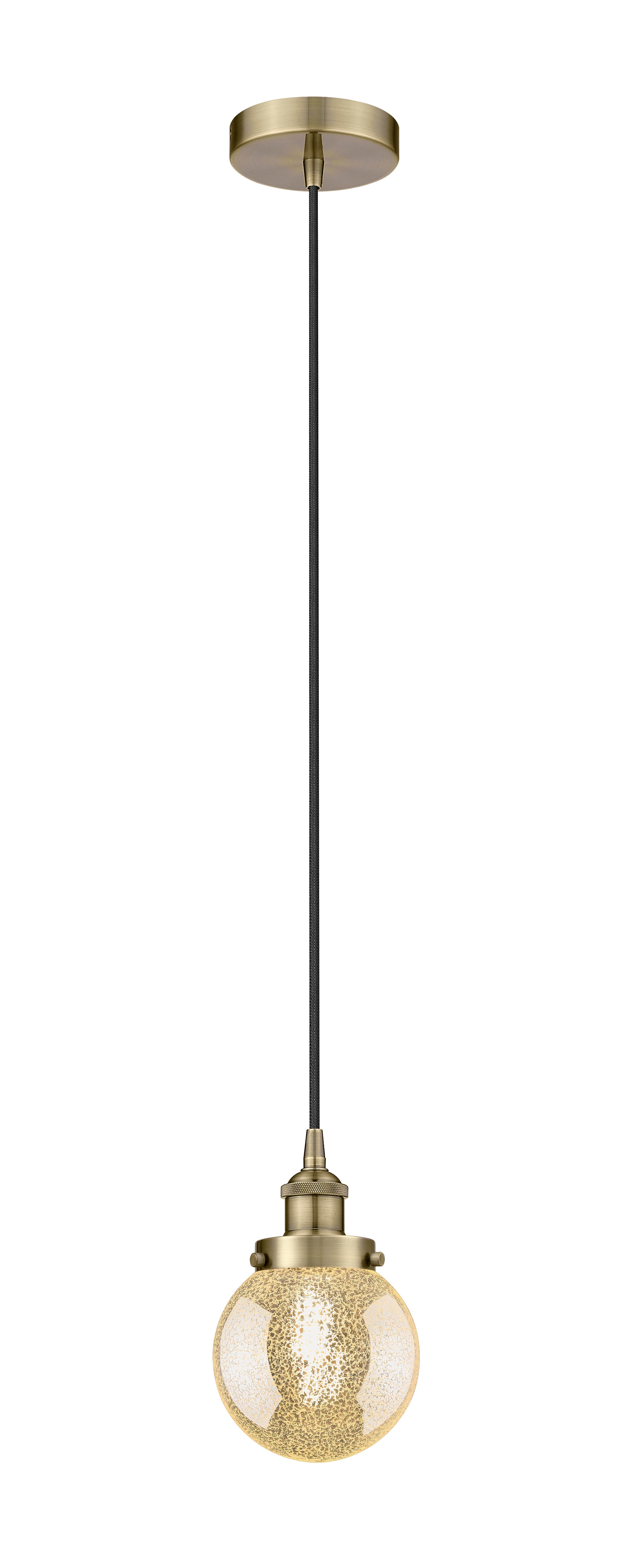 Edison Mini Pendant Antique Brass Finish