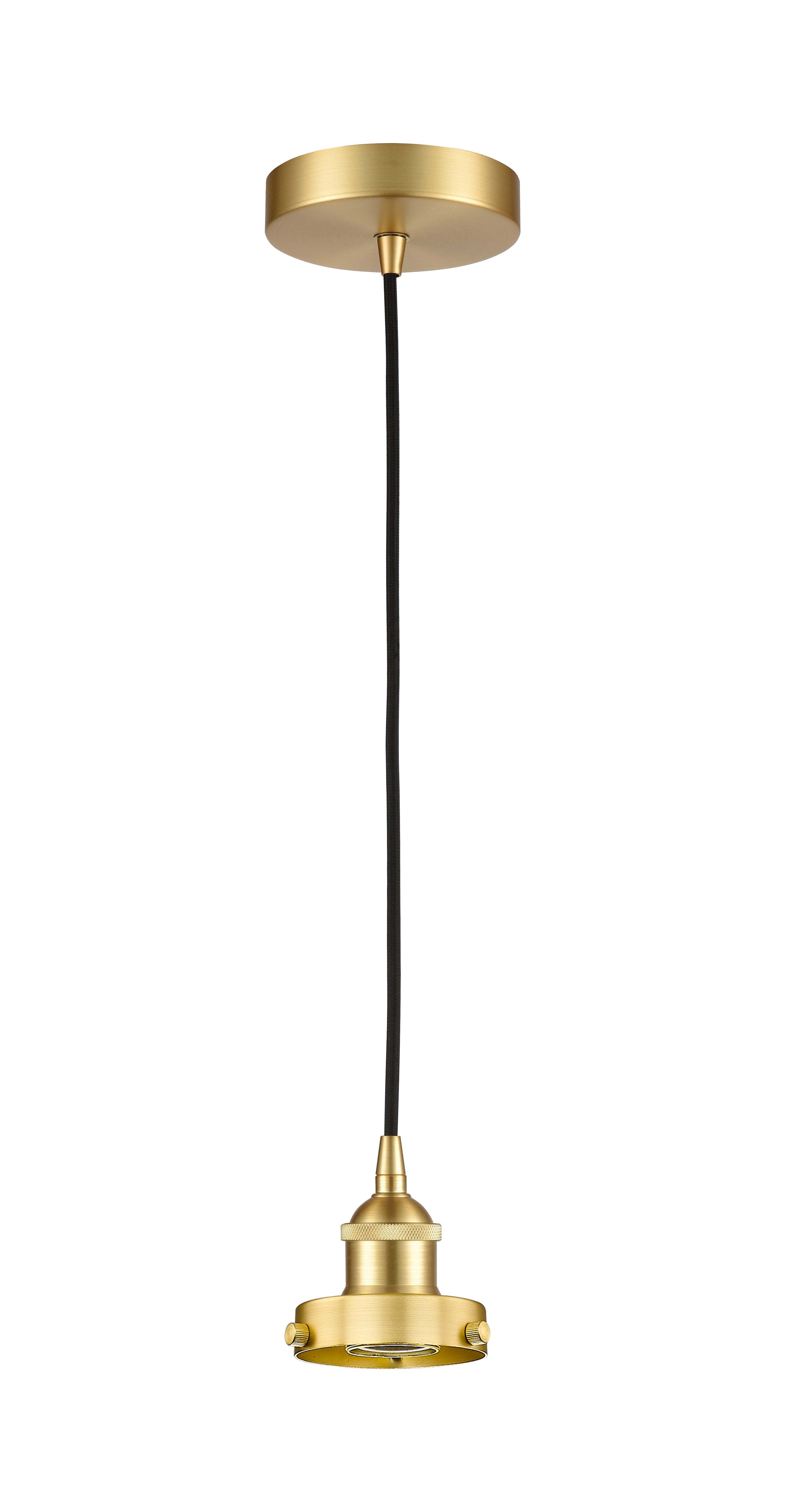 Edison Mini Pendant Antique Brass Finish