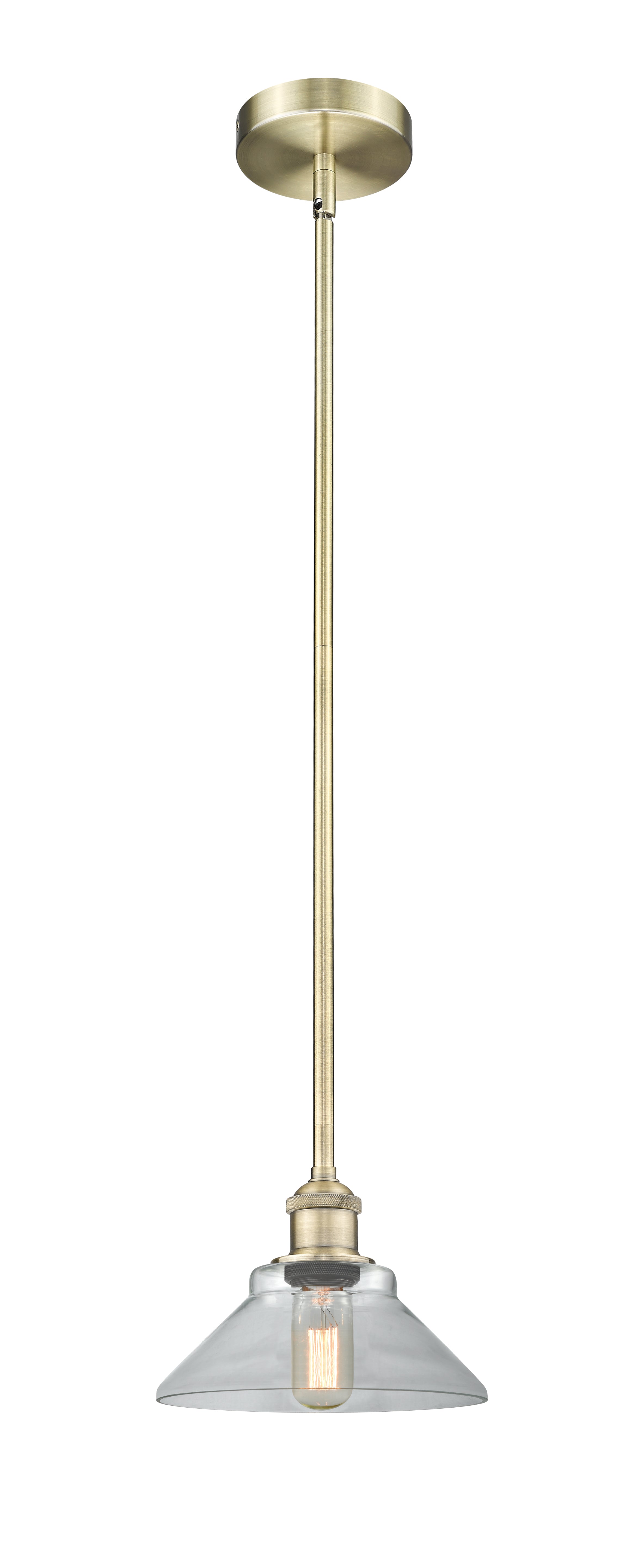 Edison Mini Pendant Antique Brass Finish