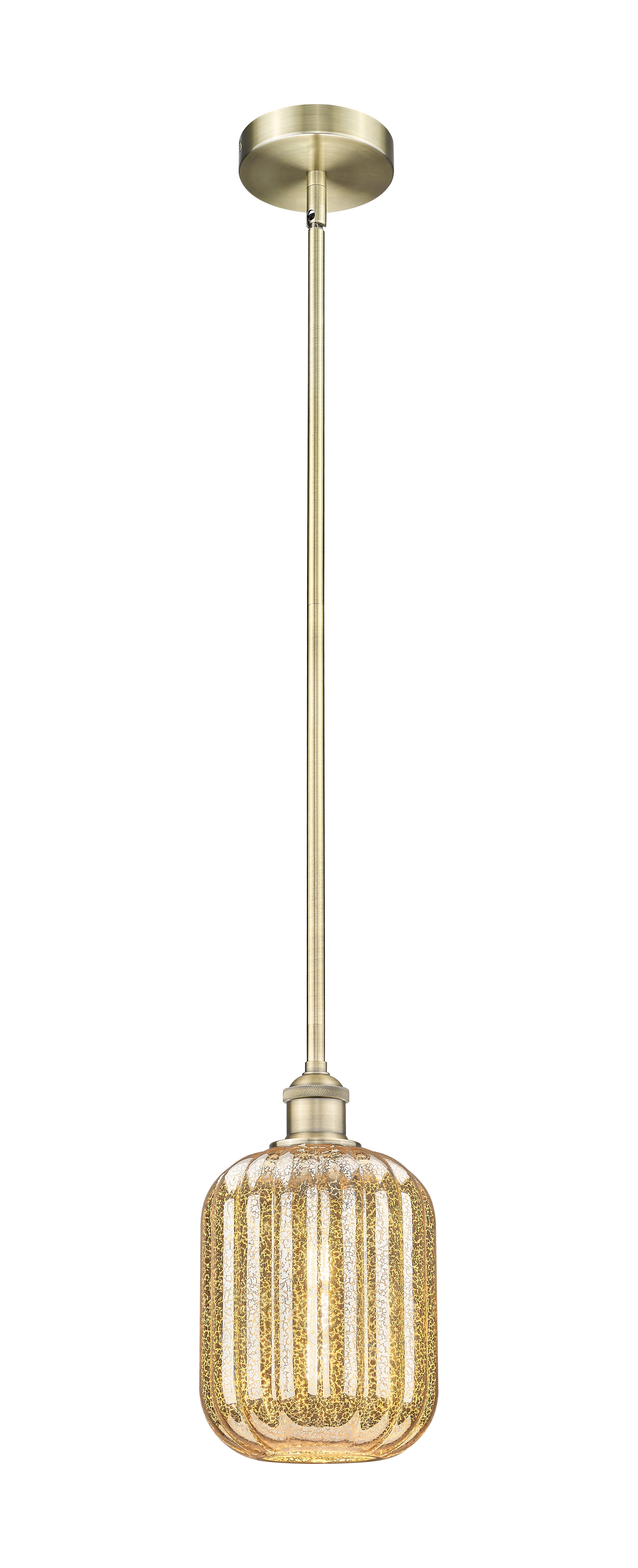 Edison Mini Pendant Antique Brass Finish