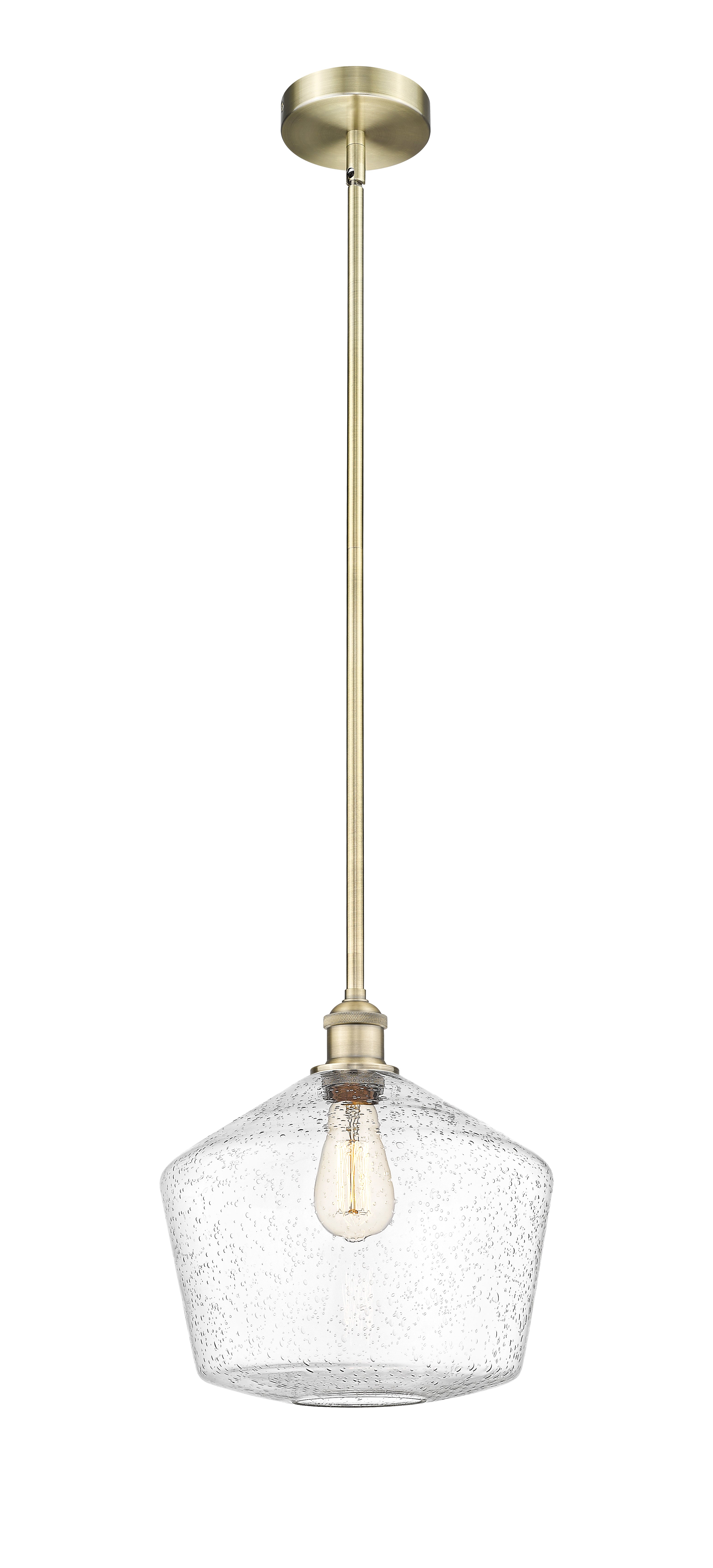 Edison Mini Pendant Antique Brass Finish
