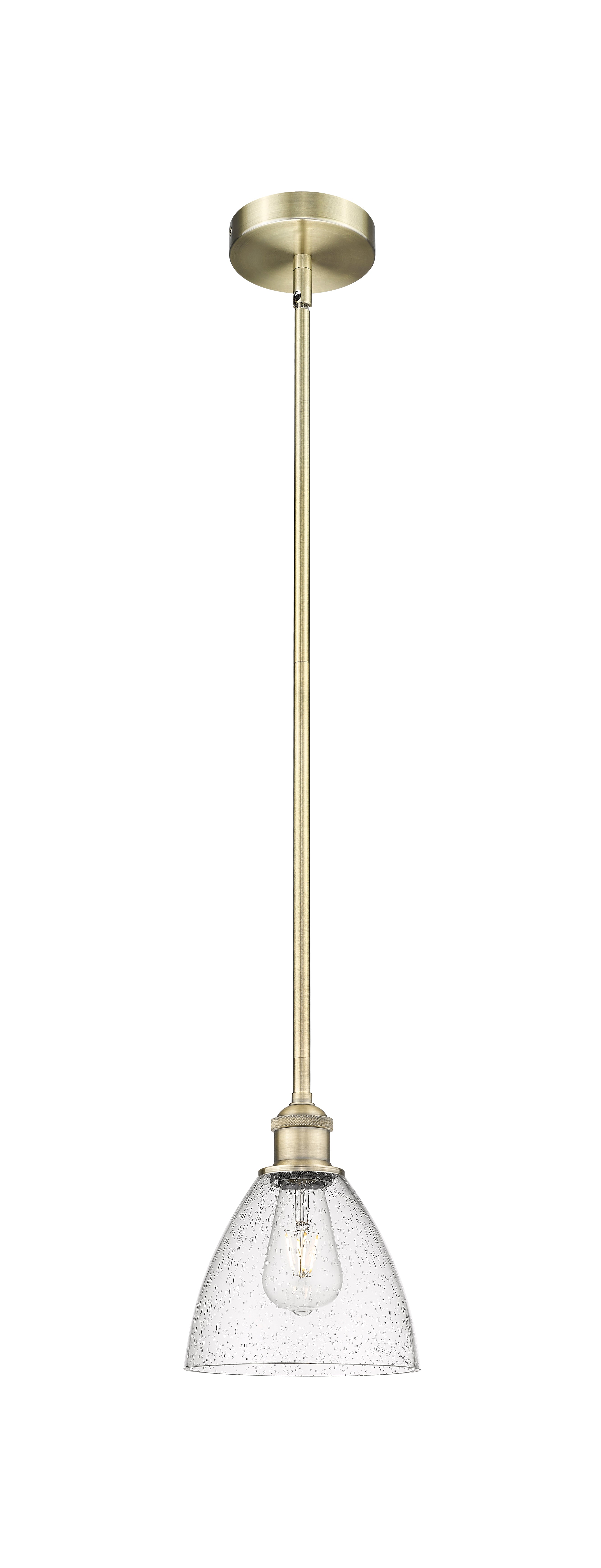 Edison Mini Pendant Antique Brass Finish