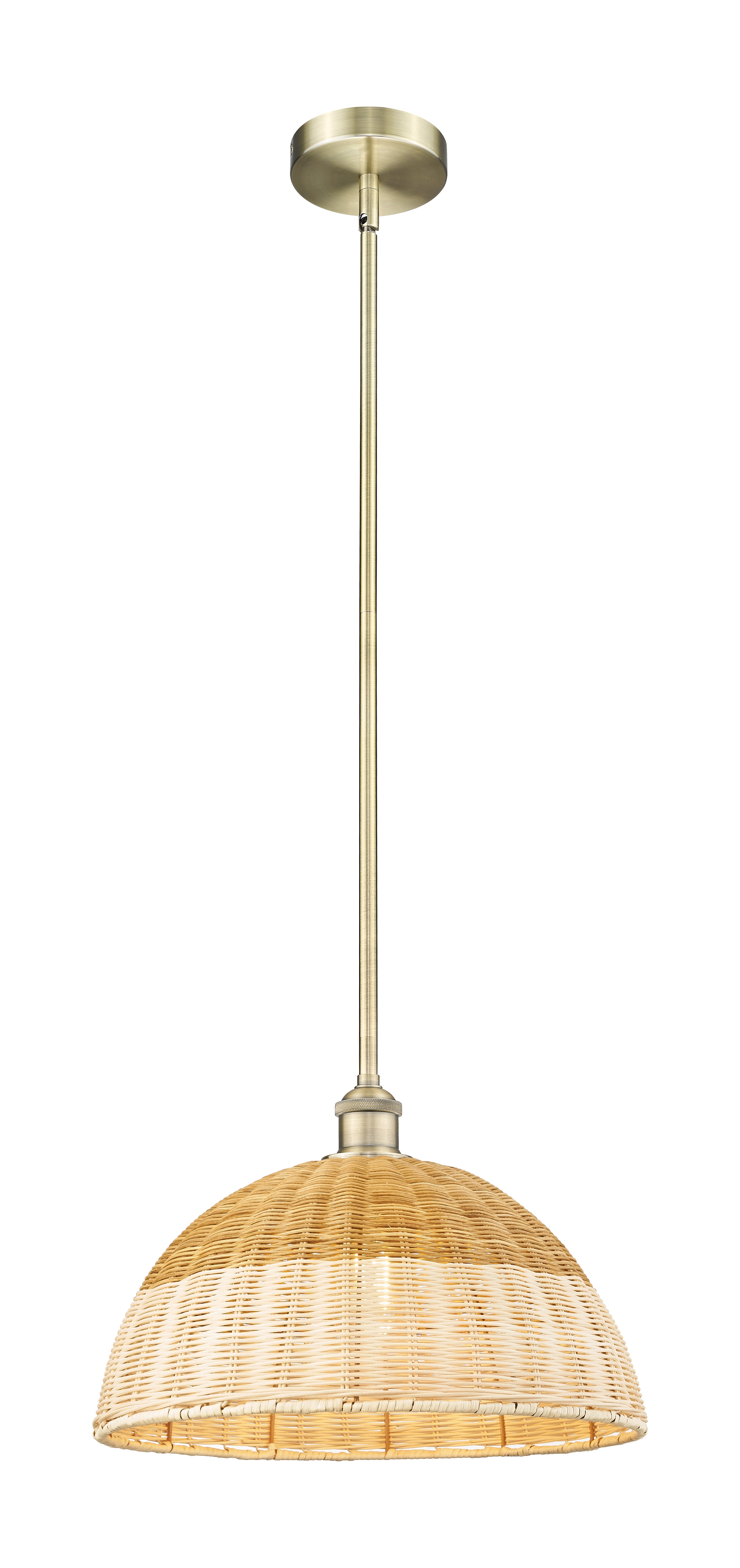 Edison Mini Pendant Cast Brass 15.75