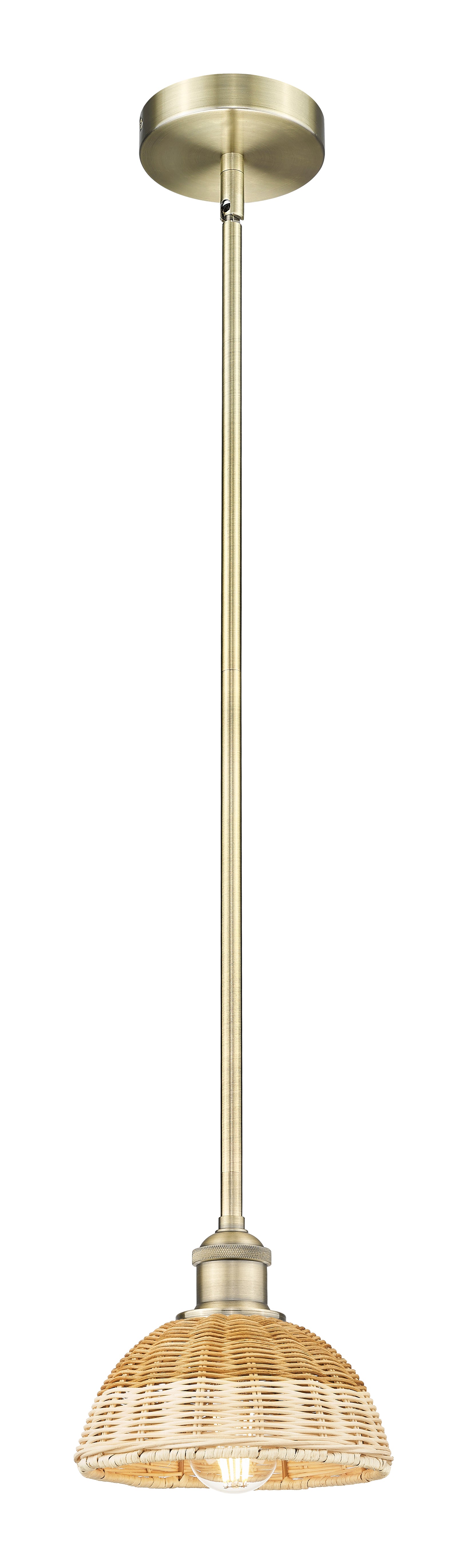 Edison Mini Pendant Antique Brass Finish