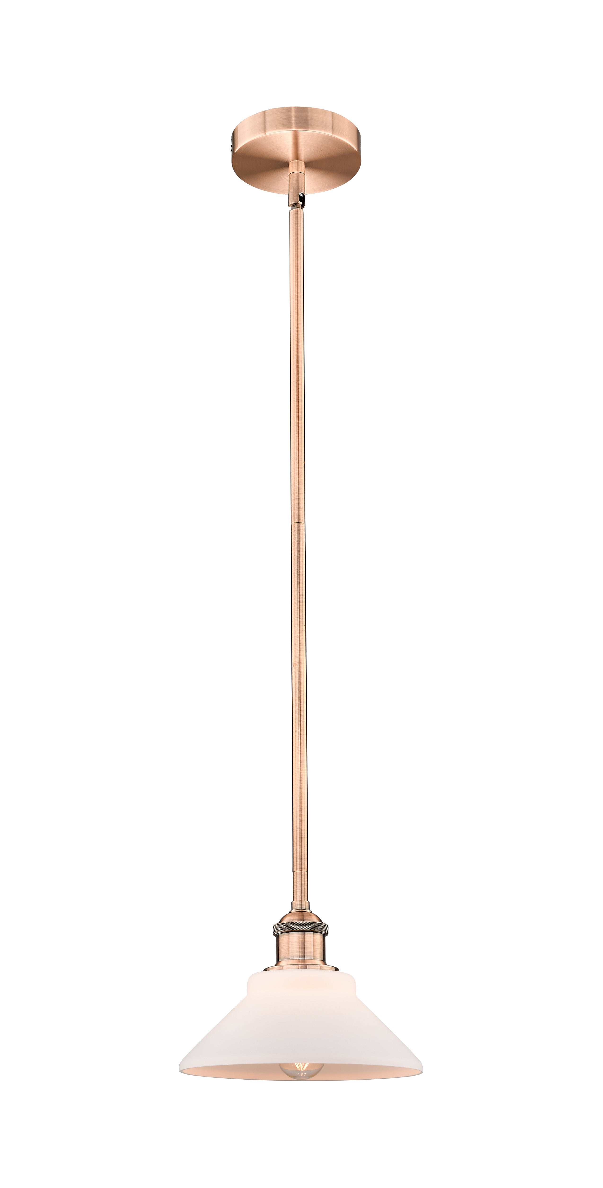 Edison Mini Pendant Antique Brass Finish