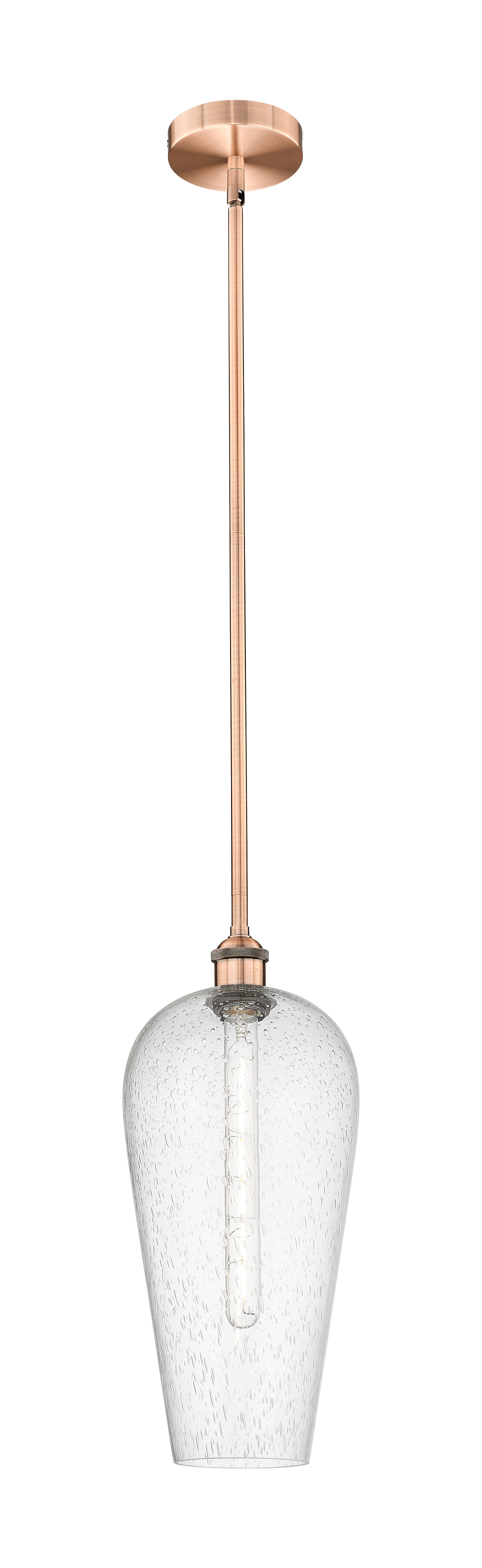 Edison Mini Pendant Antique Brass Finish