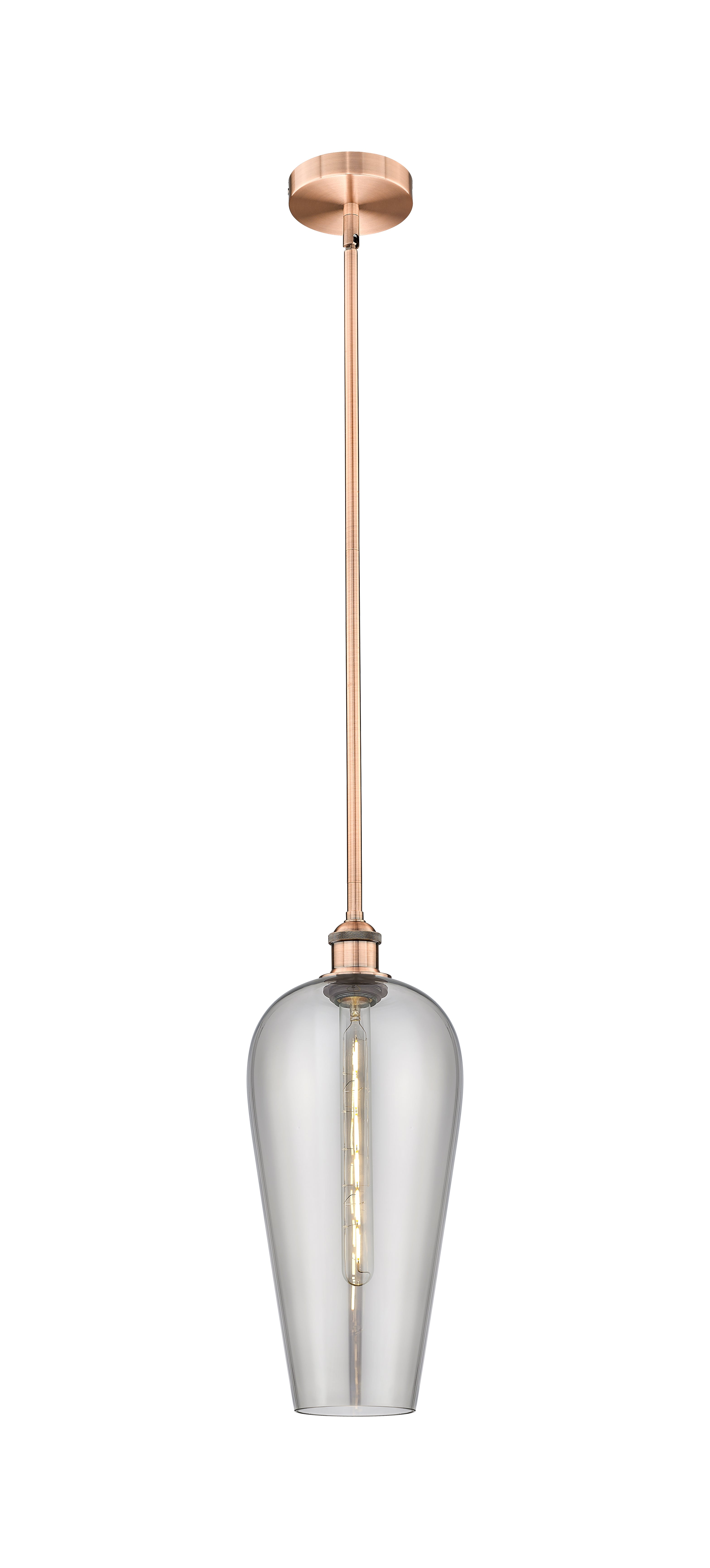 Edison Mini Pendant Antique Brass Finish