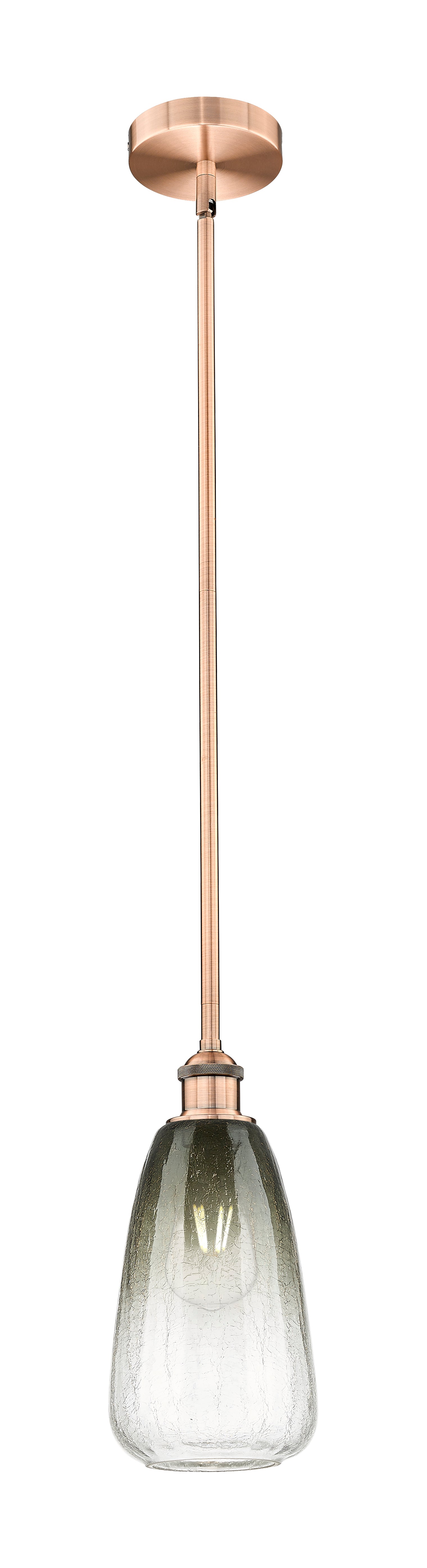 Edison Mini Pendant Antique Brass 6 Inch