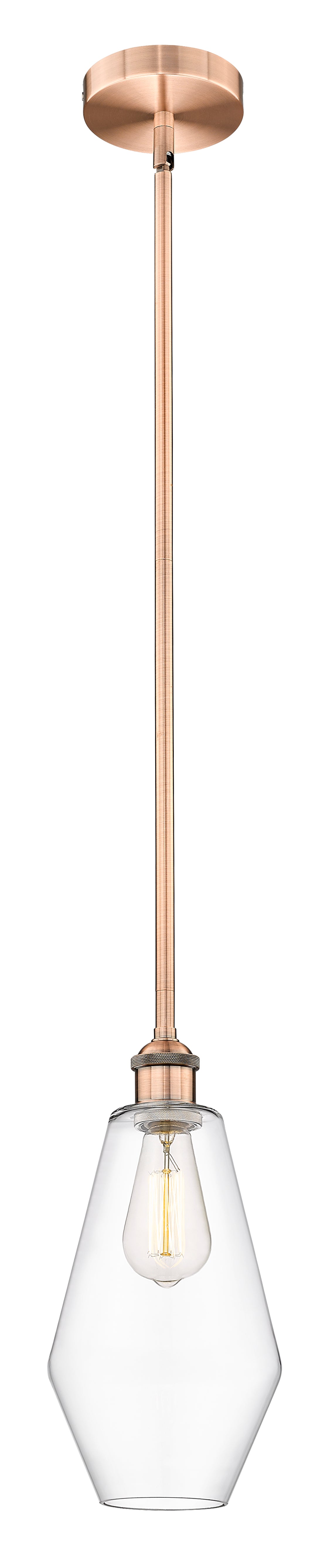 Edison Mini Pendant Antique Brass Finish