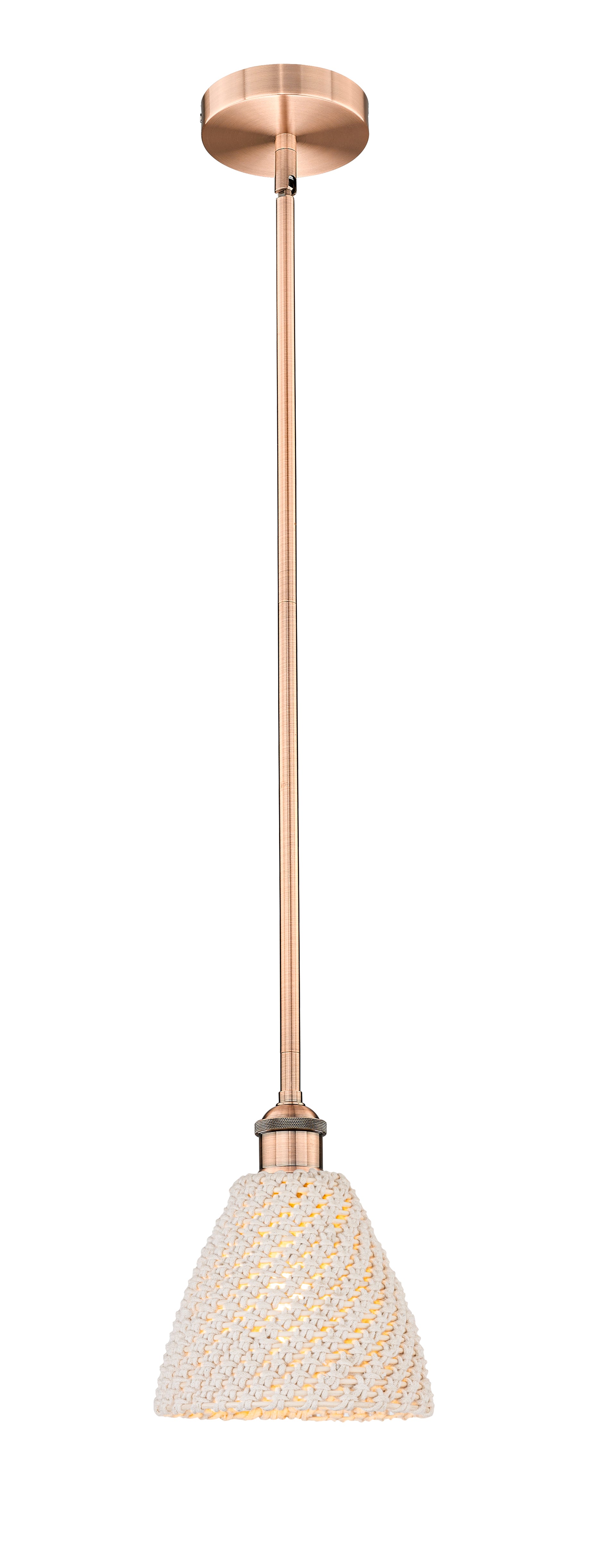 Edison Mini Pendant Antique Brass Finish