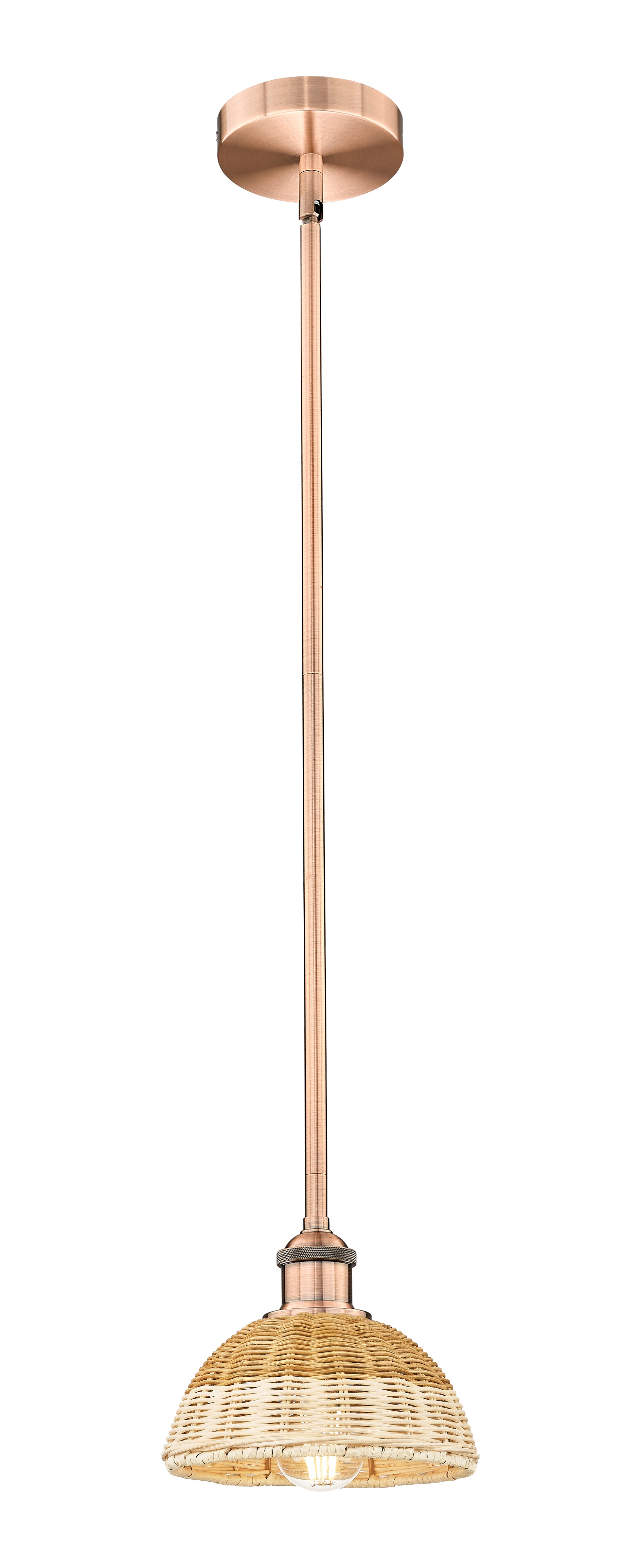 Edison Mini Pendant Antique Brass Finish