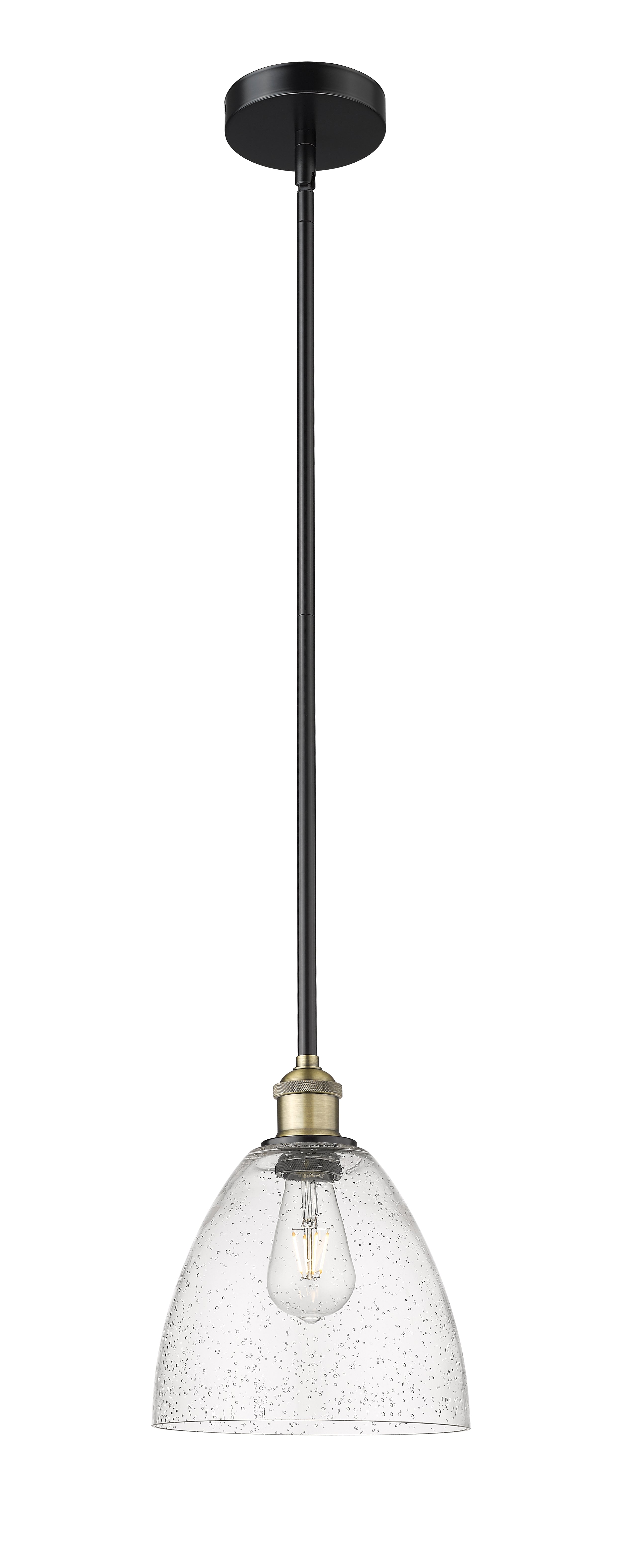 Edison Mini Pendant Antique Brass Finish