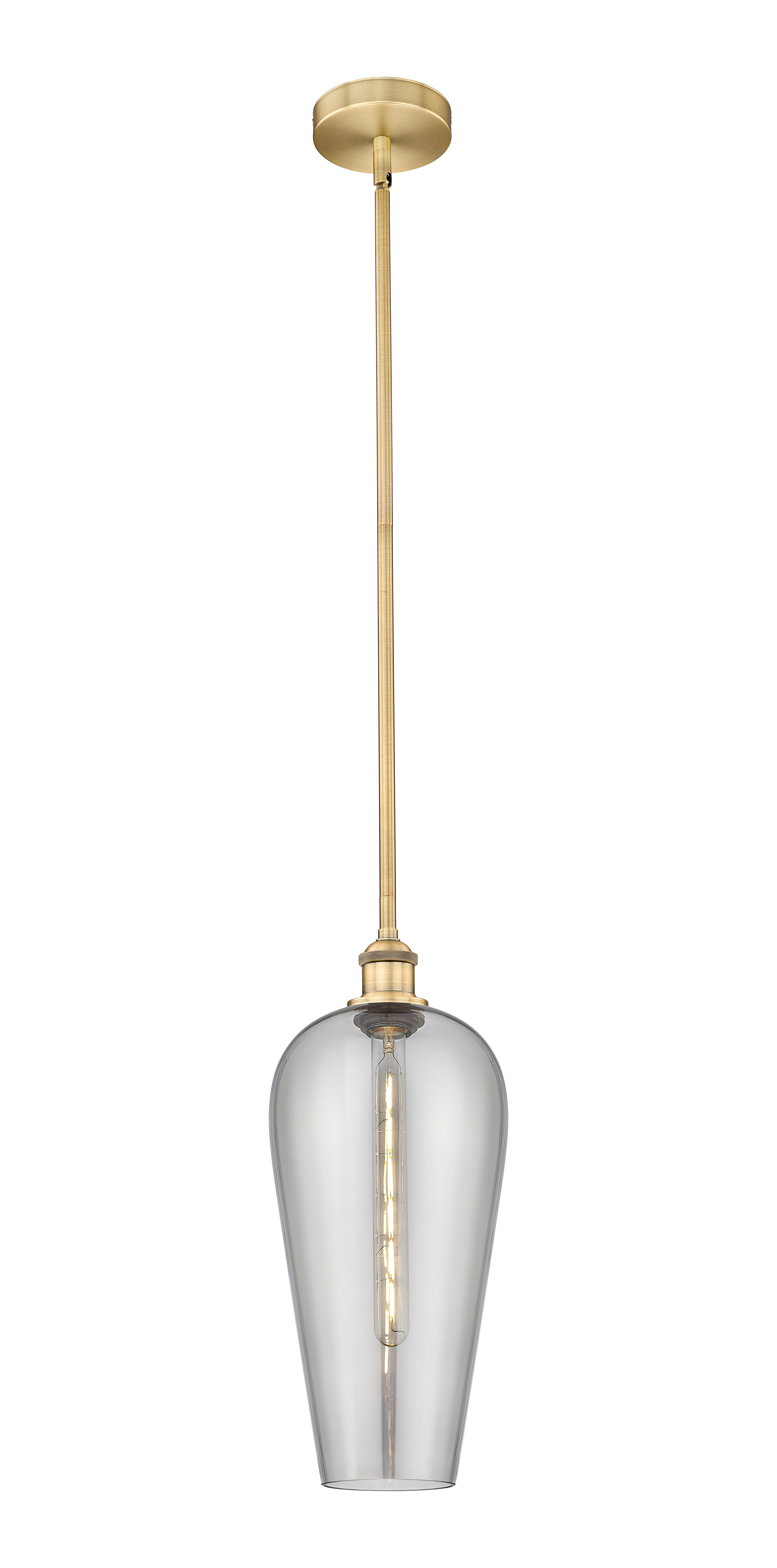 Edison Mini Pendant Antique Brass Finish