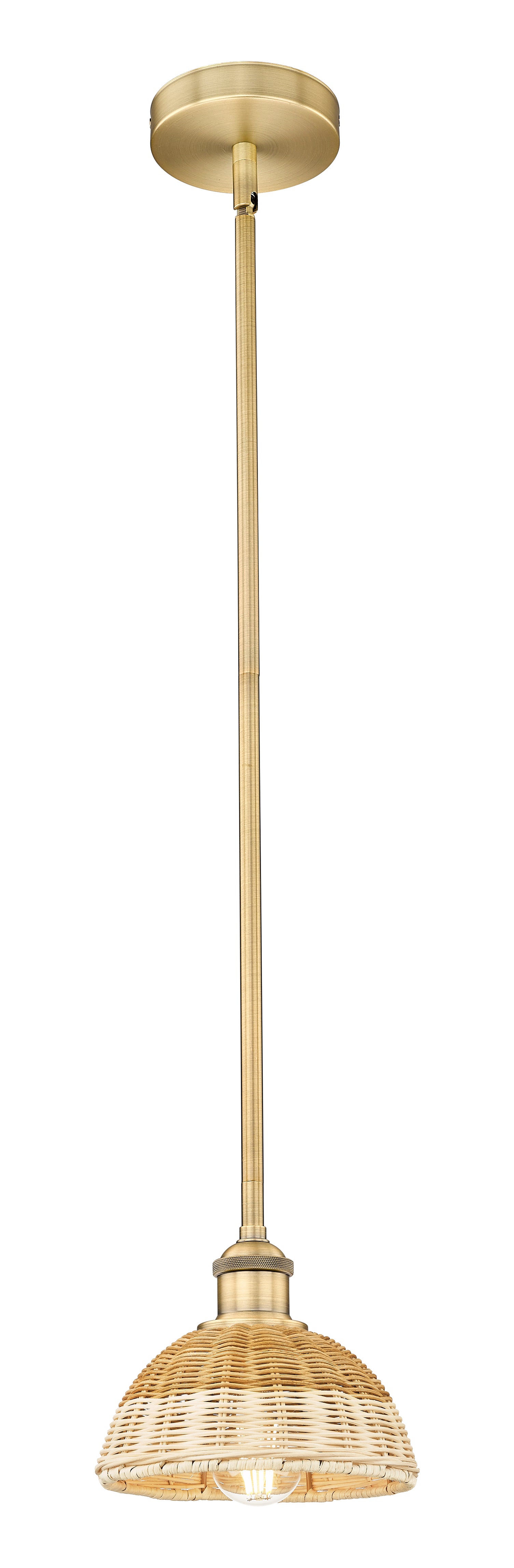 Edison Mini Pendant Antique Brass Finish