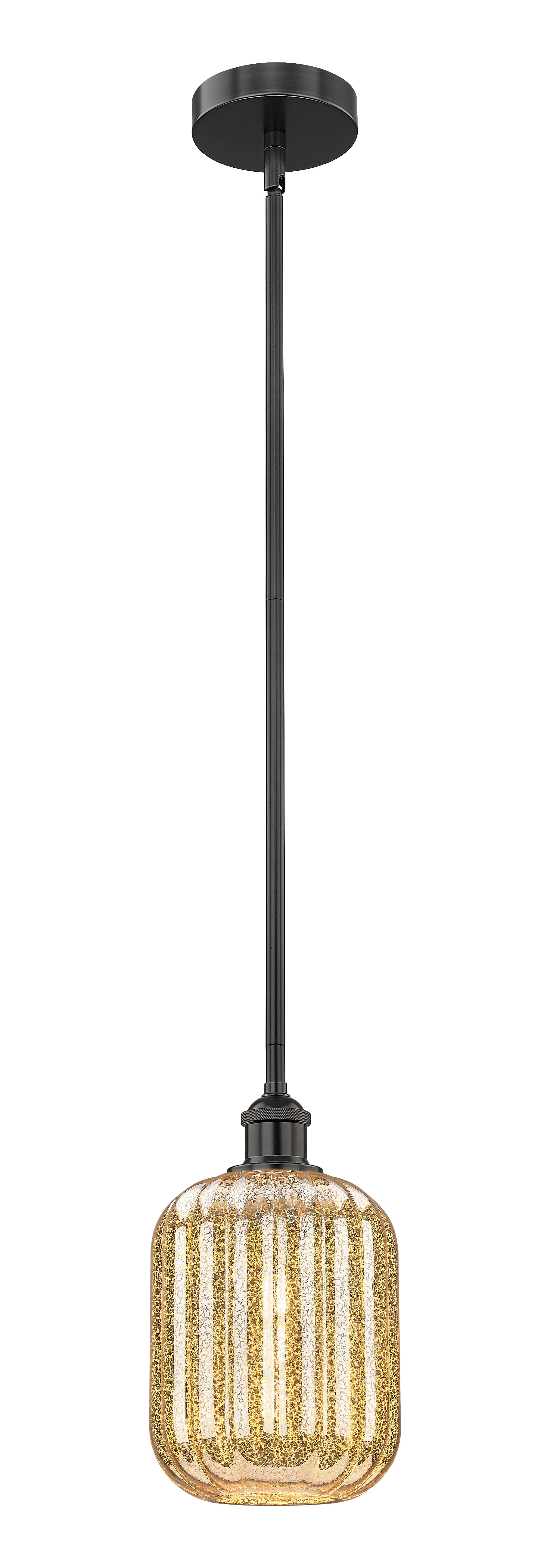 Edison Mini Pendant Antique Brass Finish