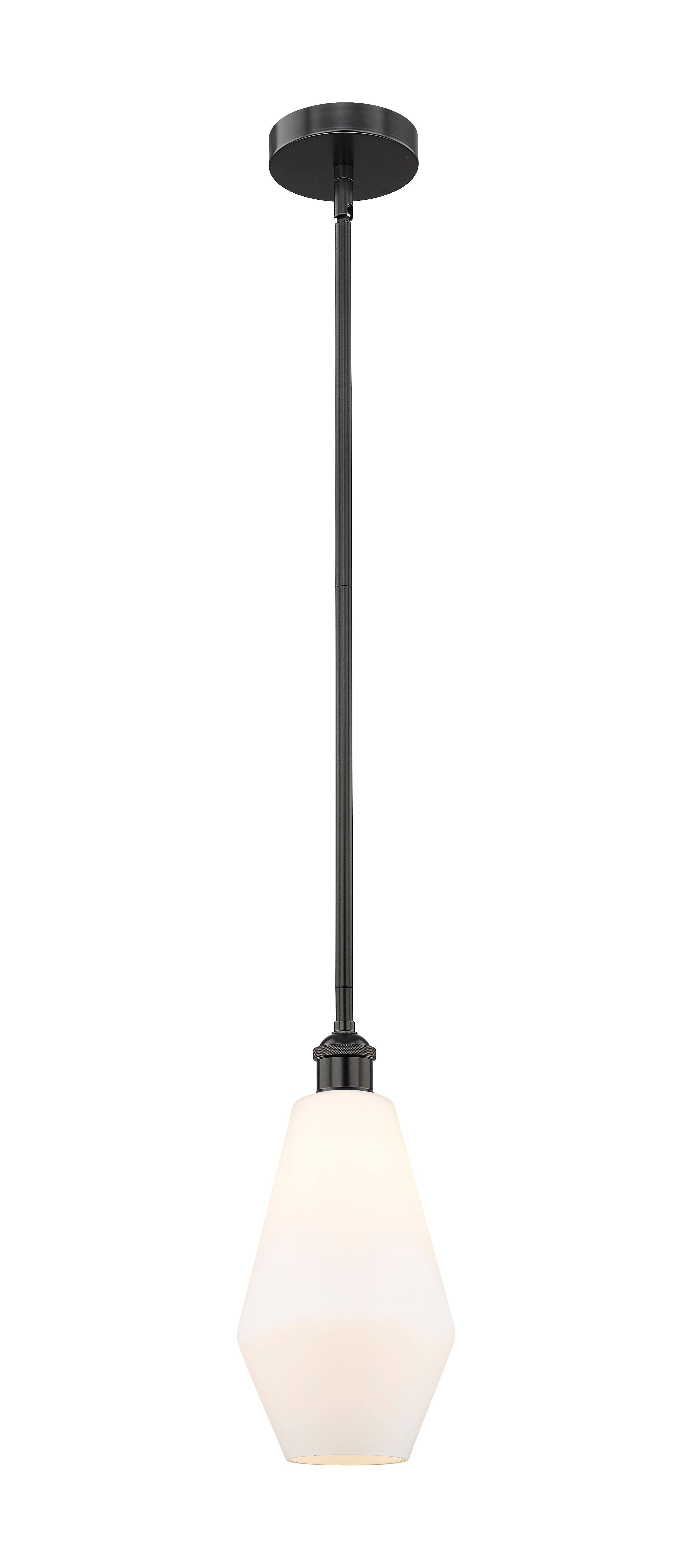 Edison Mini Pendant Antique Brass Finish