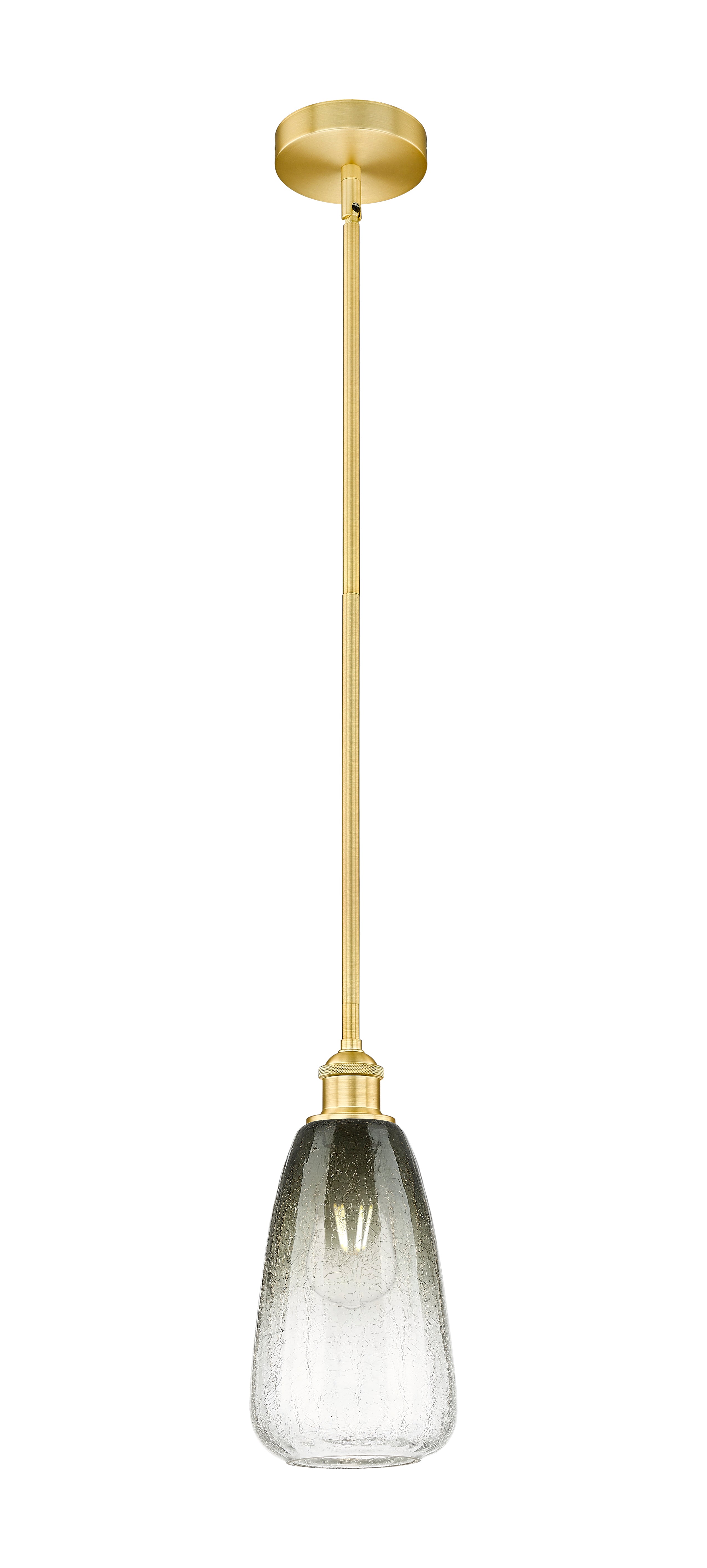 Edison Mini Pendant Antique Brass 6 Inch