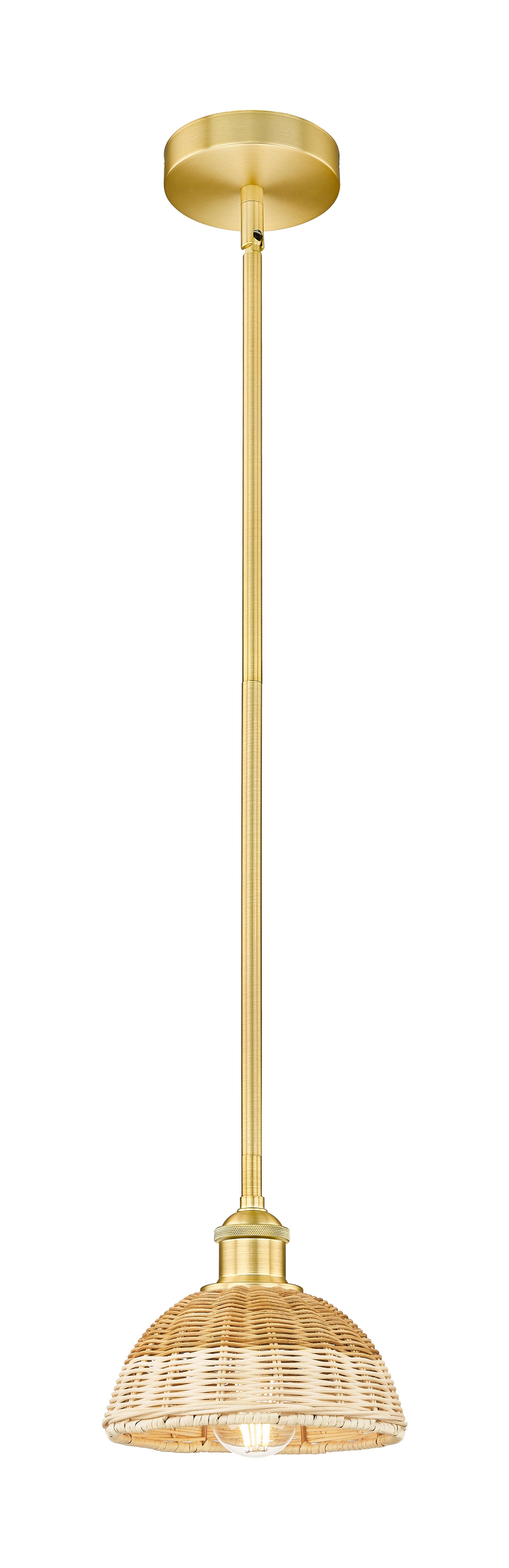 Edison Mini Pendant Antique Brass Finish