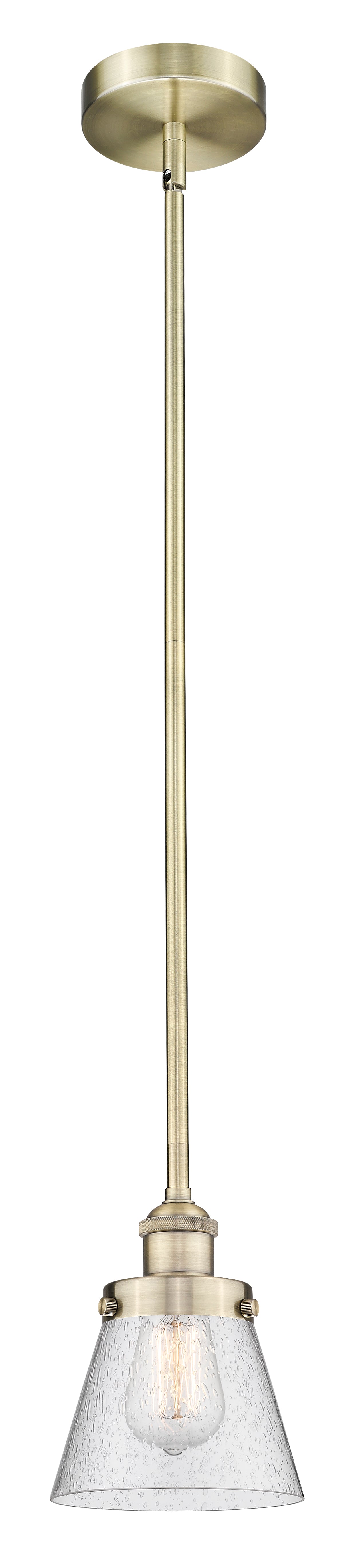 Edison Mini Pendant Antique Brass Finish