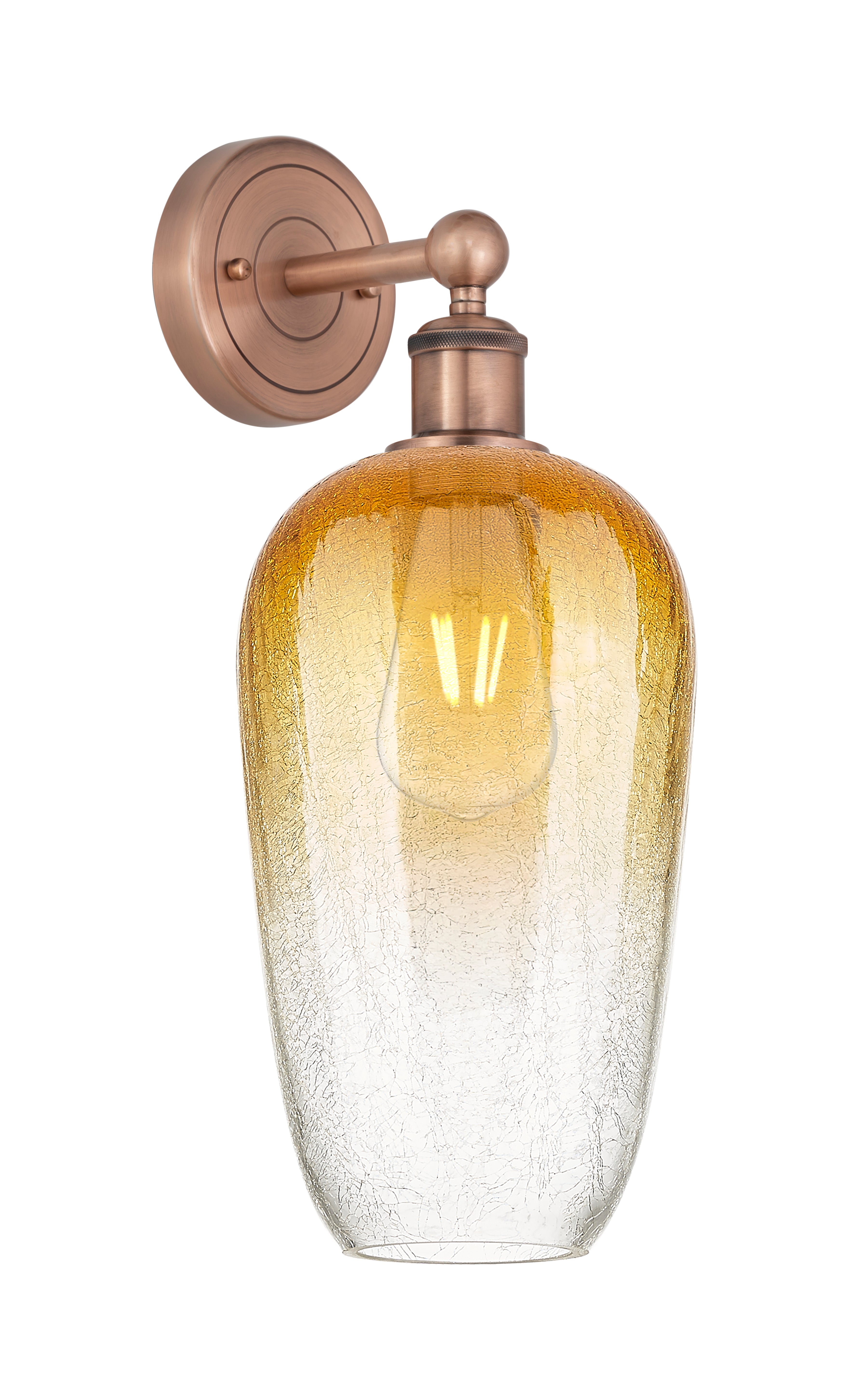 Edison Sconce Cast Brass Finish 12 Inch