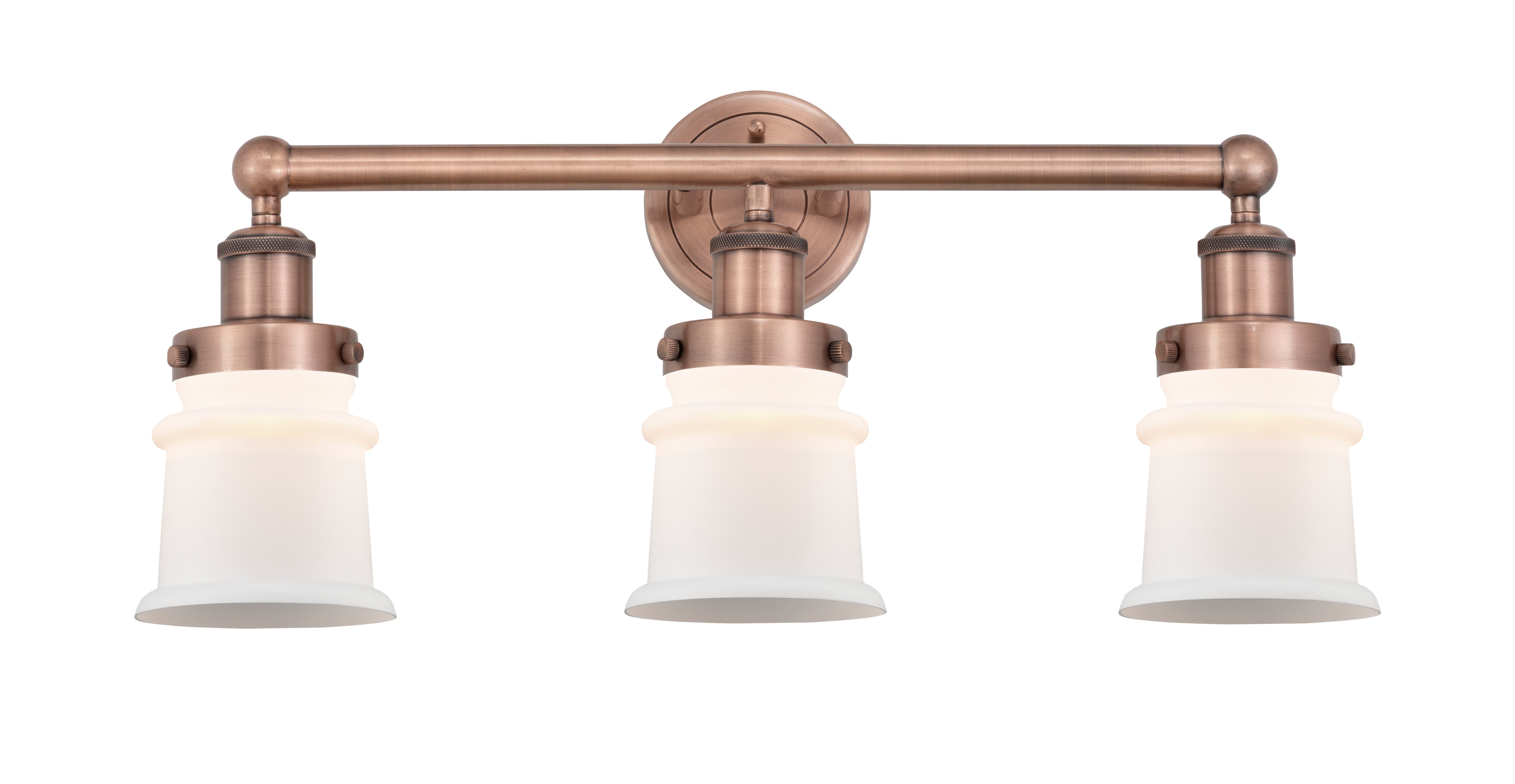 Edison Bath Vanity Light Cast Brass 24 Inch
